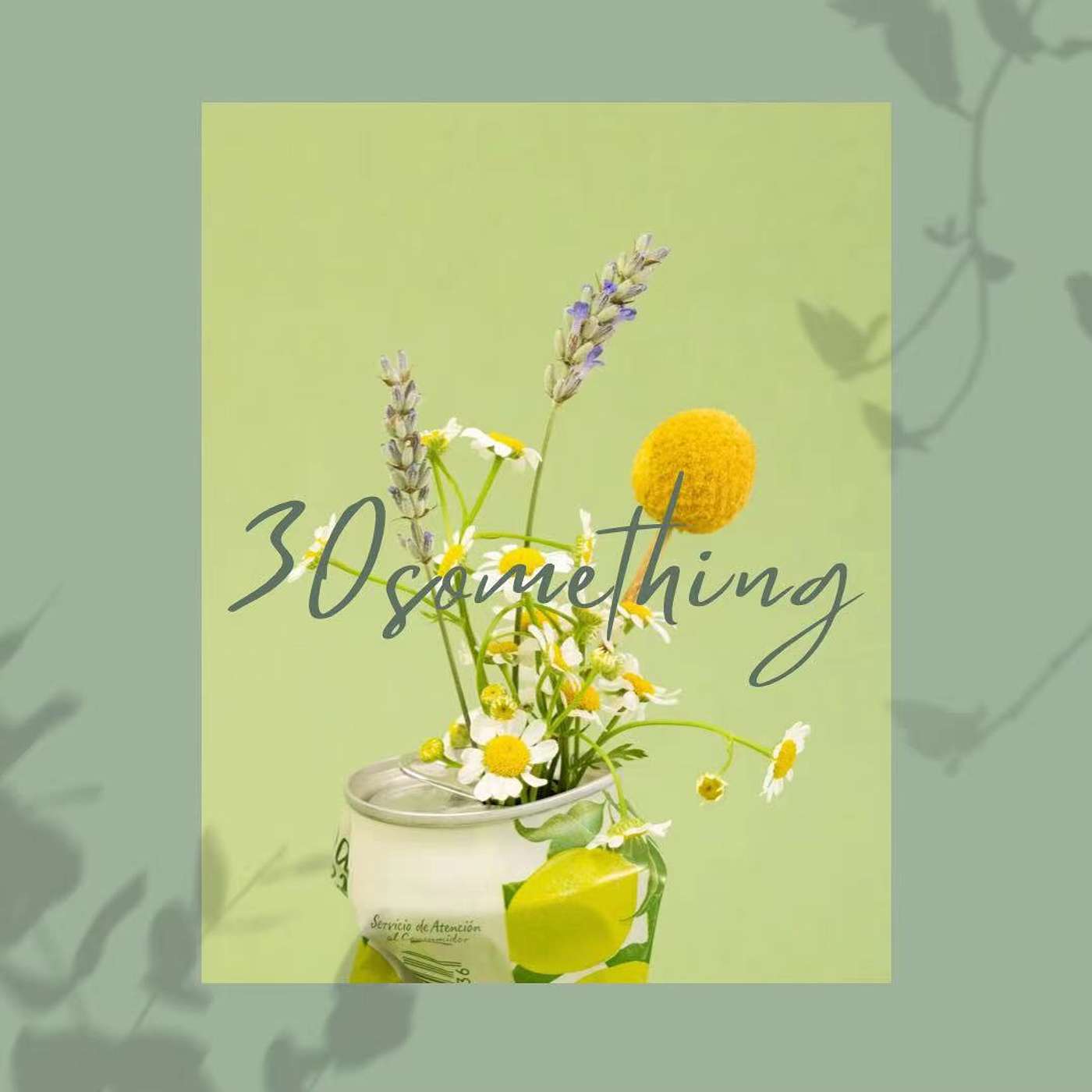 30something叁拾己 podcast artwork