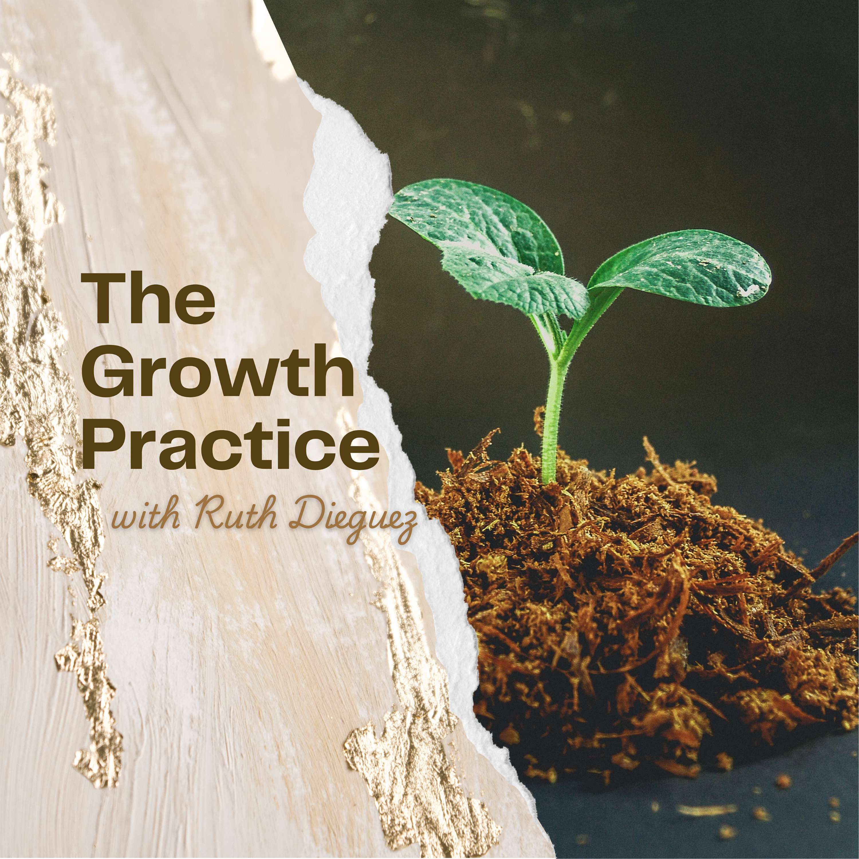 The Growth Podcast cover art