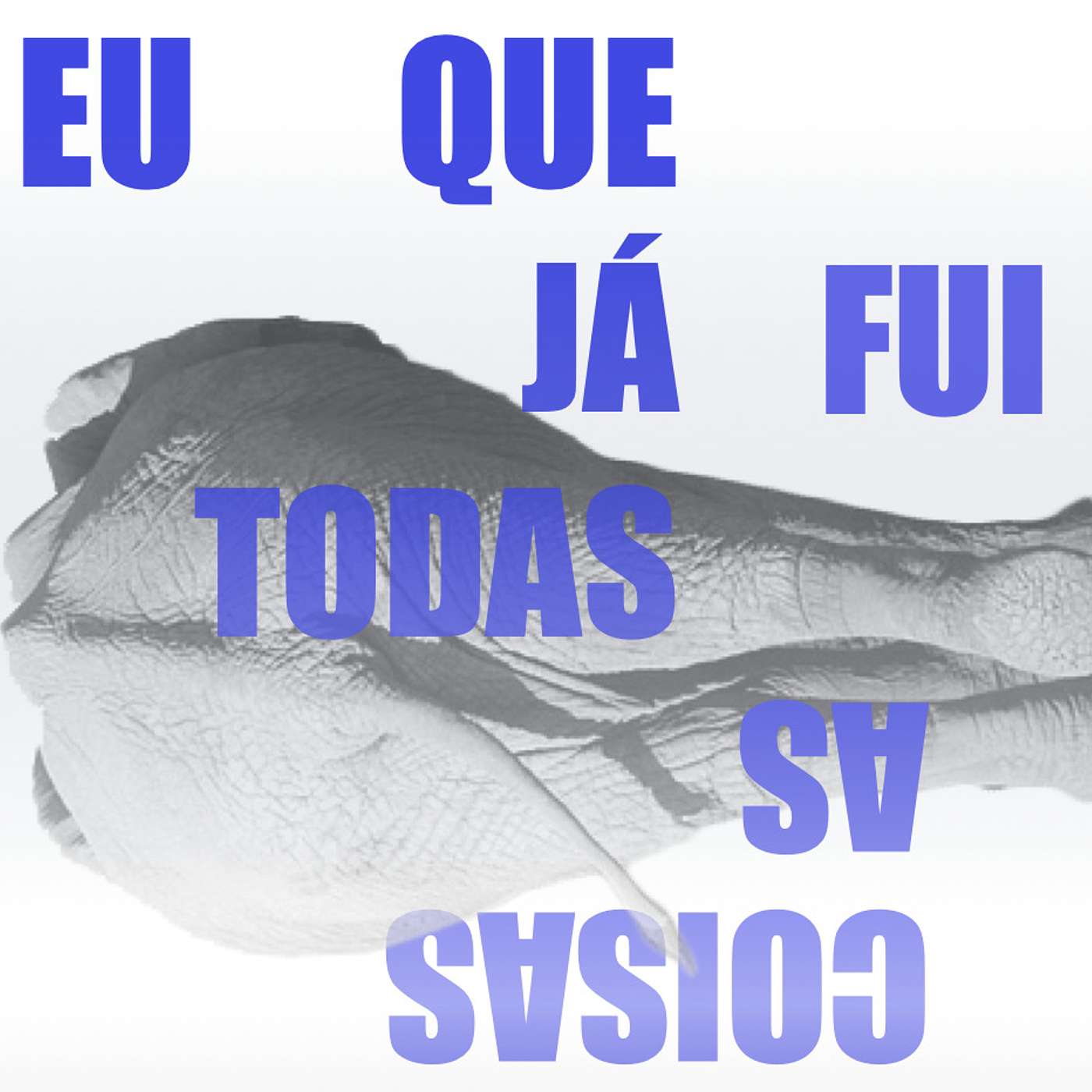 Elefantes na Neblina