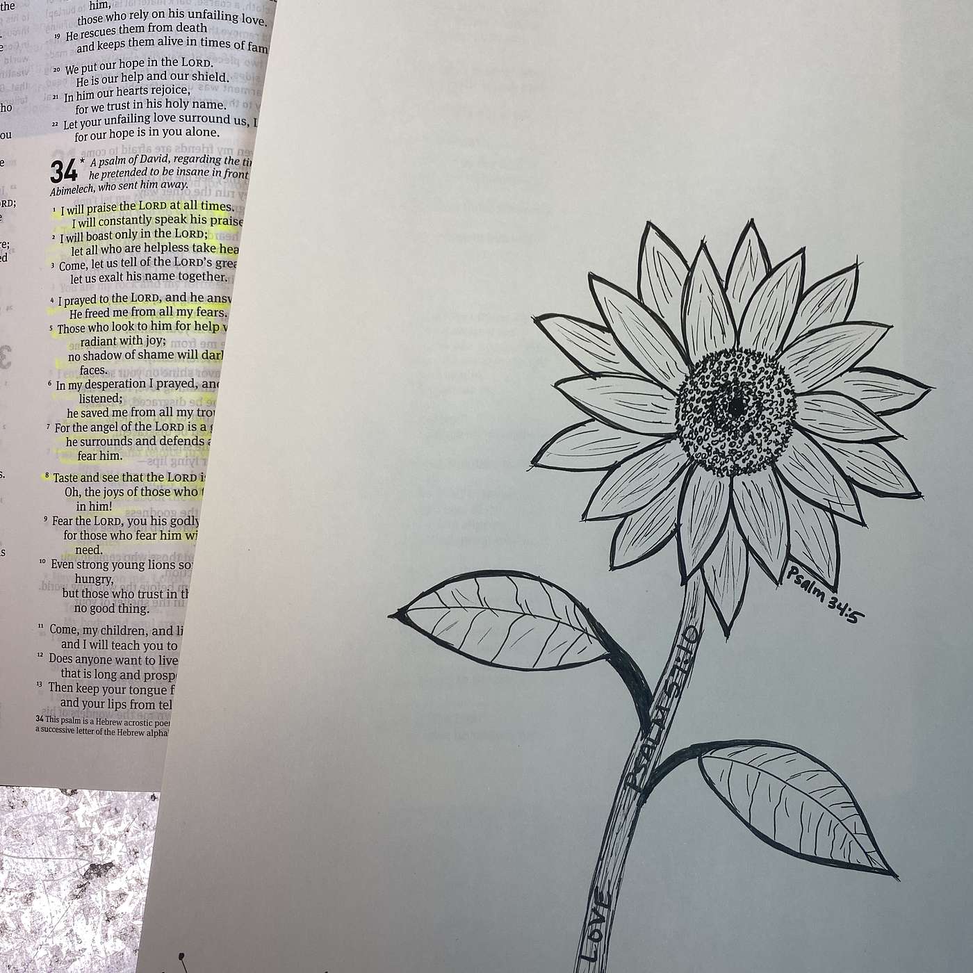 Heavenly Wit Monday | Psalm 34:5