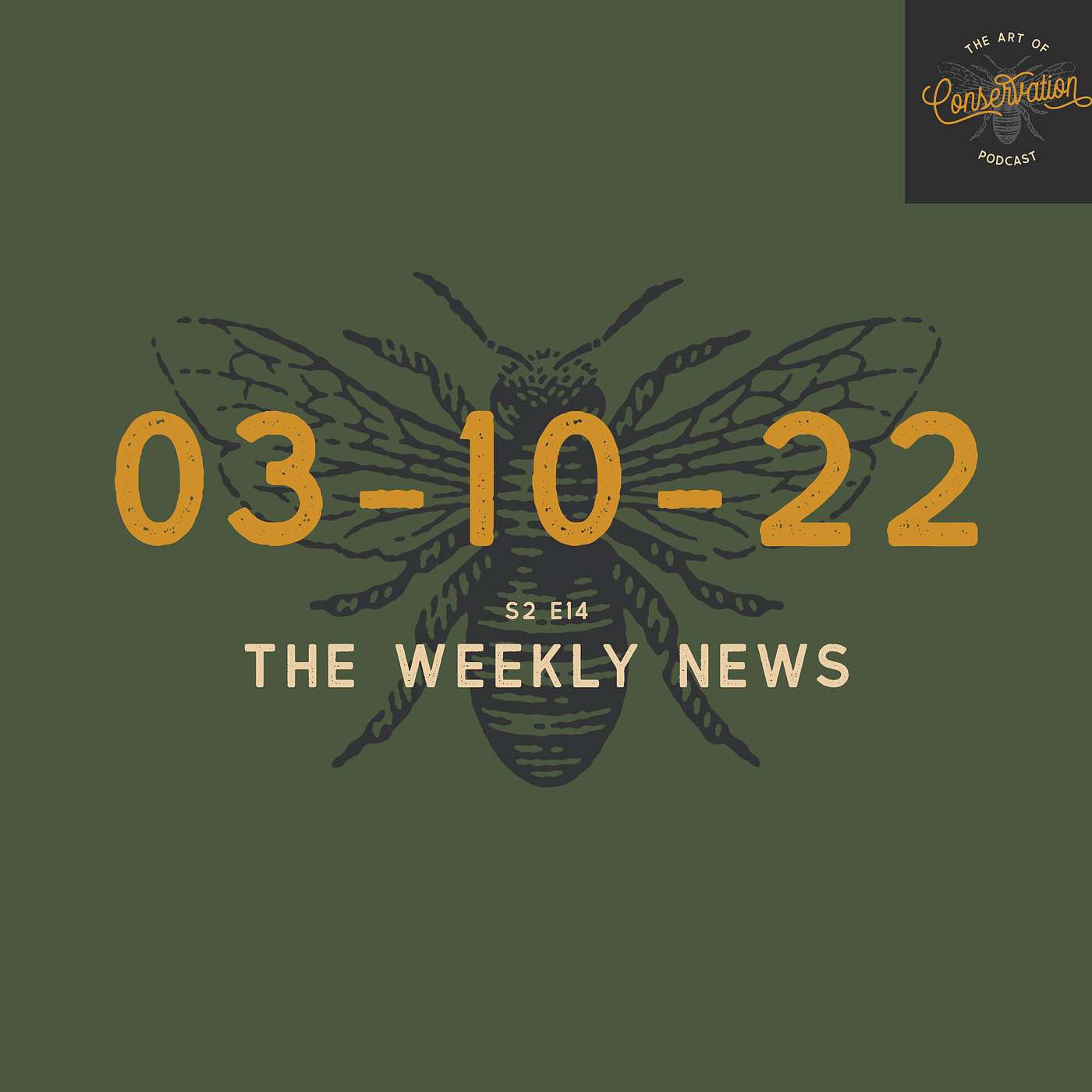 S2 E14 - The Weekly News 03-10-2021 with Simon Borchert & Peter Borchert