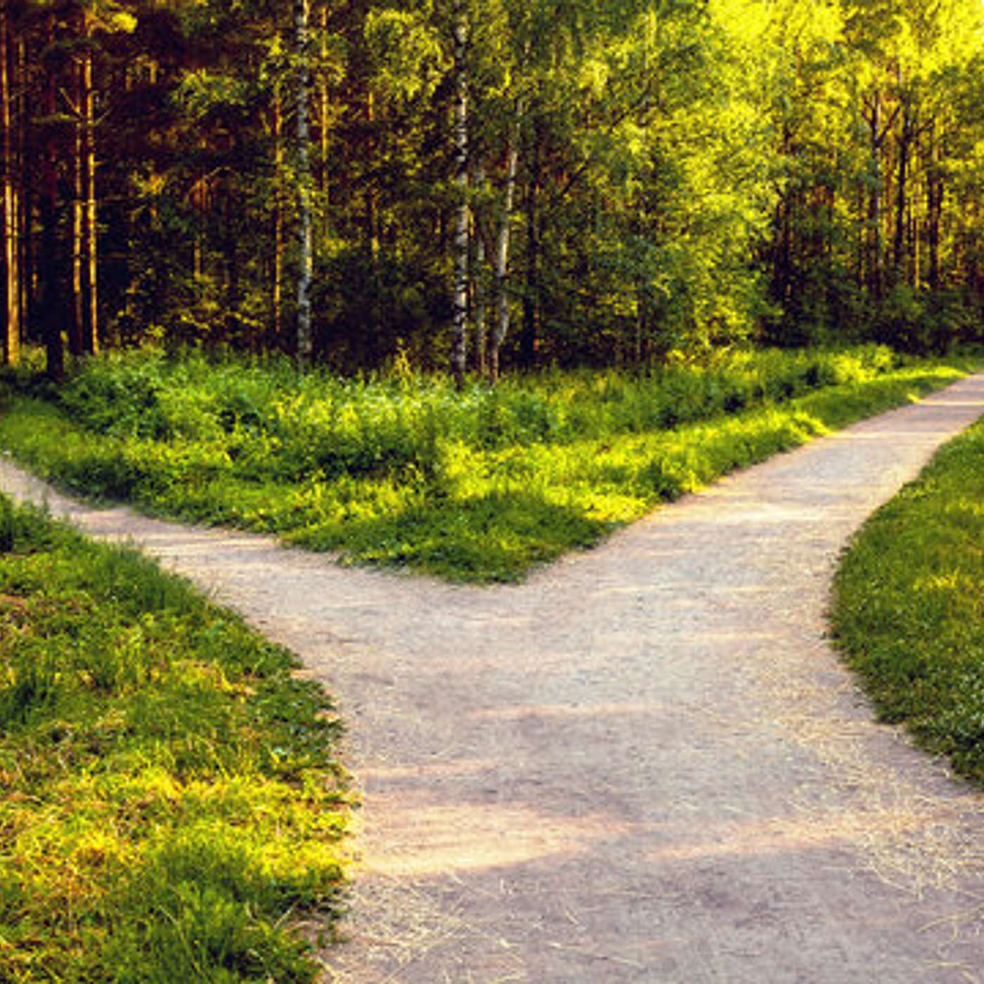 Getting Lost On A Trail Run??? episode artwork
