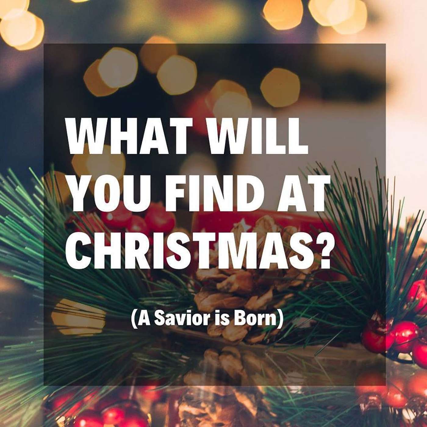 What Will You Find at Christmas?