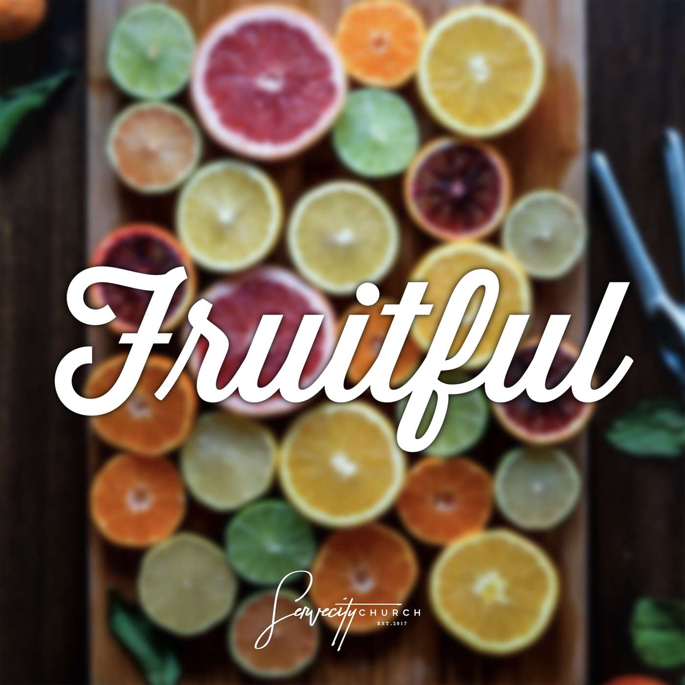 Don't Lose It | Part 2 | FRUITFUL SERIES