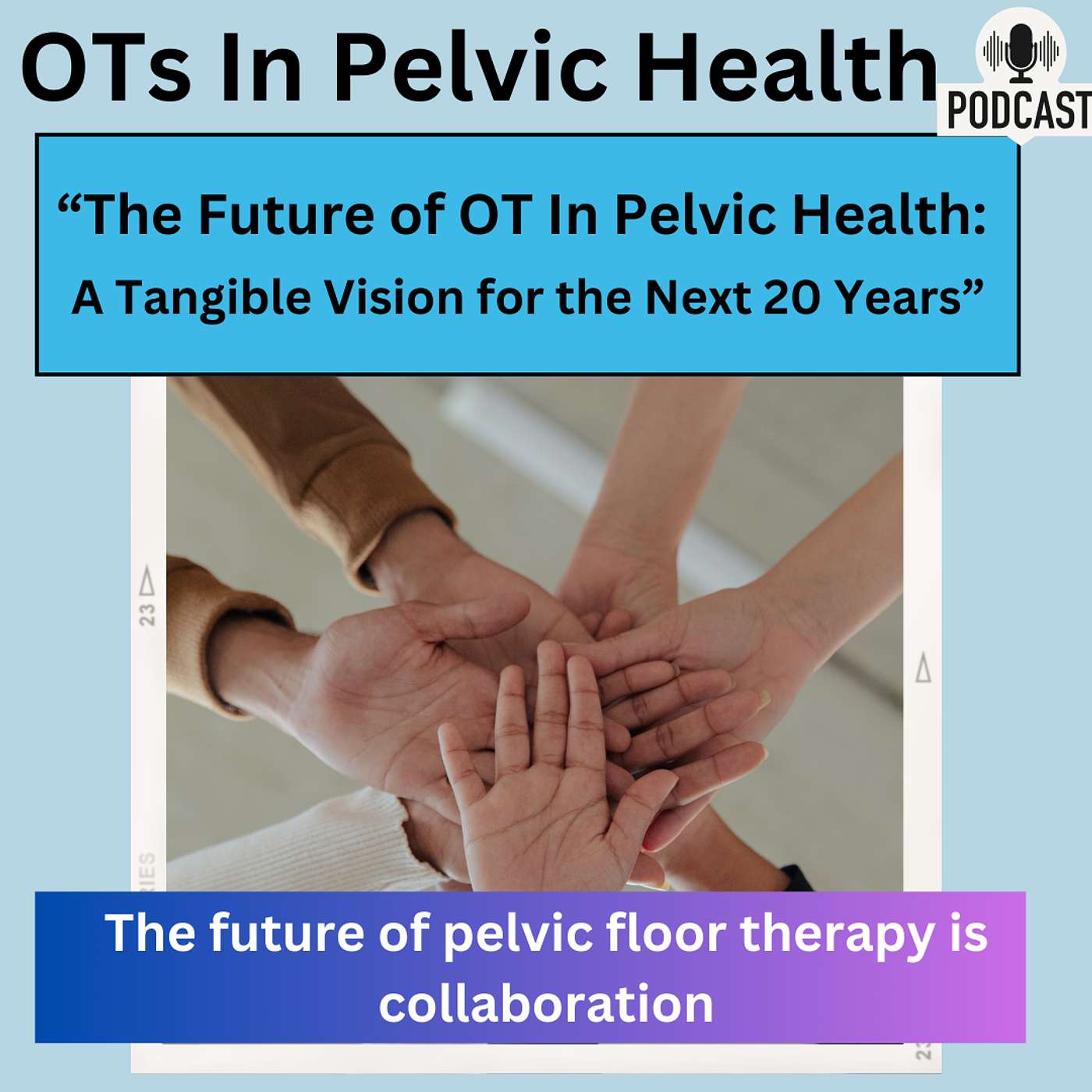 The Future Of OTs In Pelvic Health: A Tangible Vision For the Next 20 Years The Future Of OTs In Pelvic Health: A Tangible Vision For the Next 20 Years