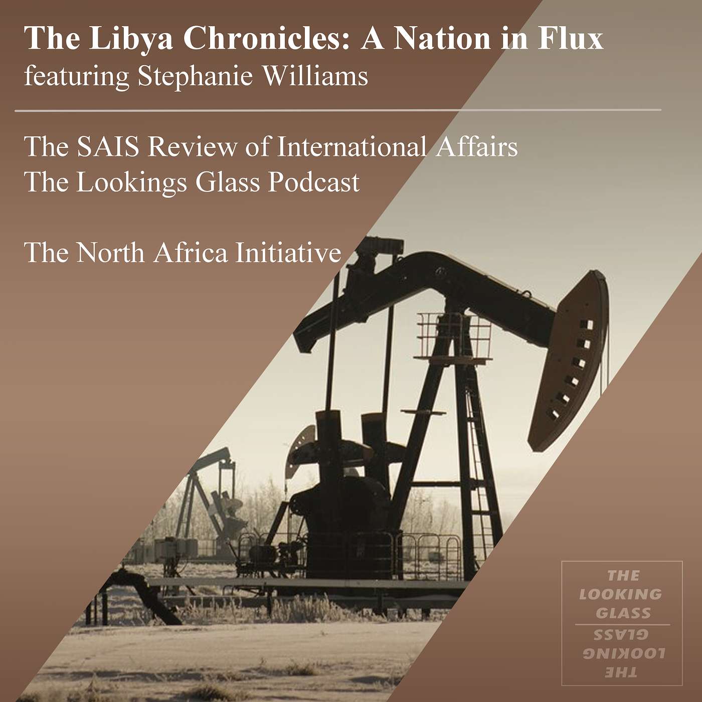 The Libya Chronicles: A Nation in Flux