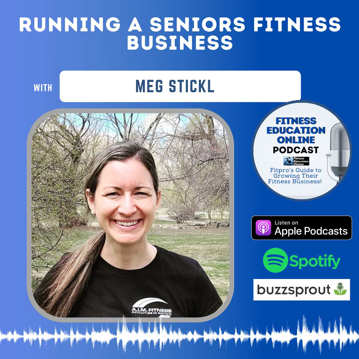 Ep 310: Running a seniors fitness business with Meg Stickl