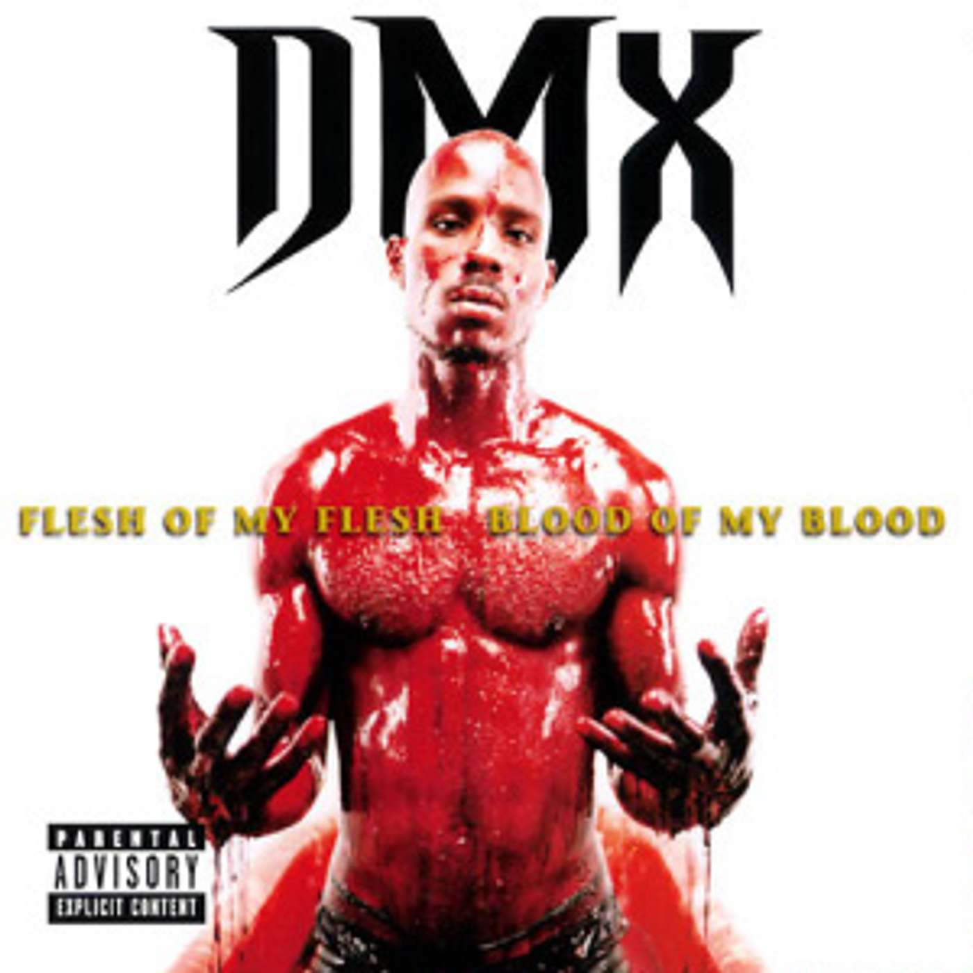 #48 FLESH OF MY FLESH, BLOOD OF MY BLOOD REVIEW - DMX episode artwork