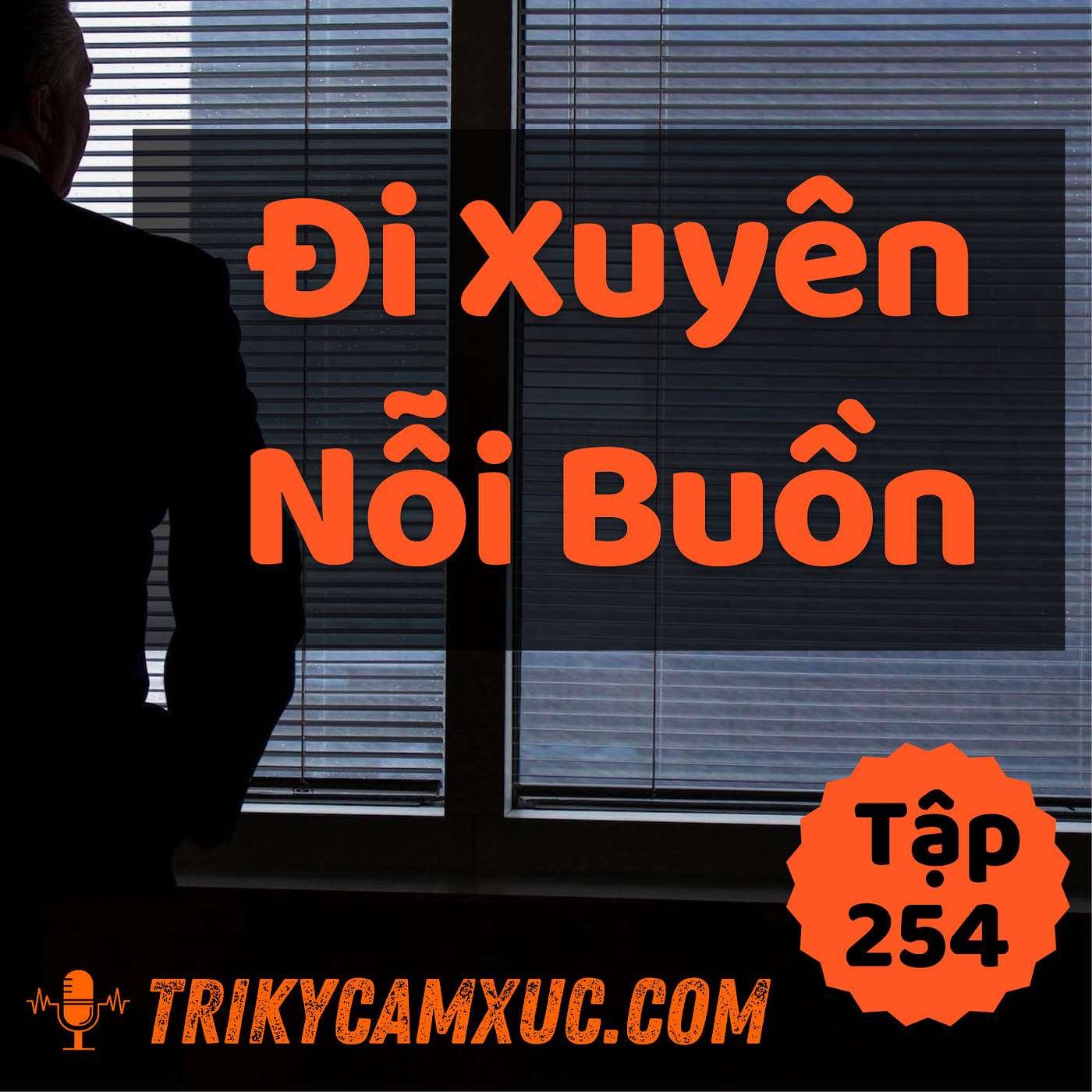 Đi Xuyên Qua Nỗi Buồn - Tri kỷ cảm xúc #254