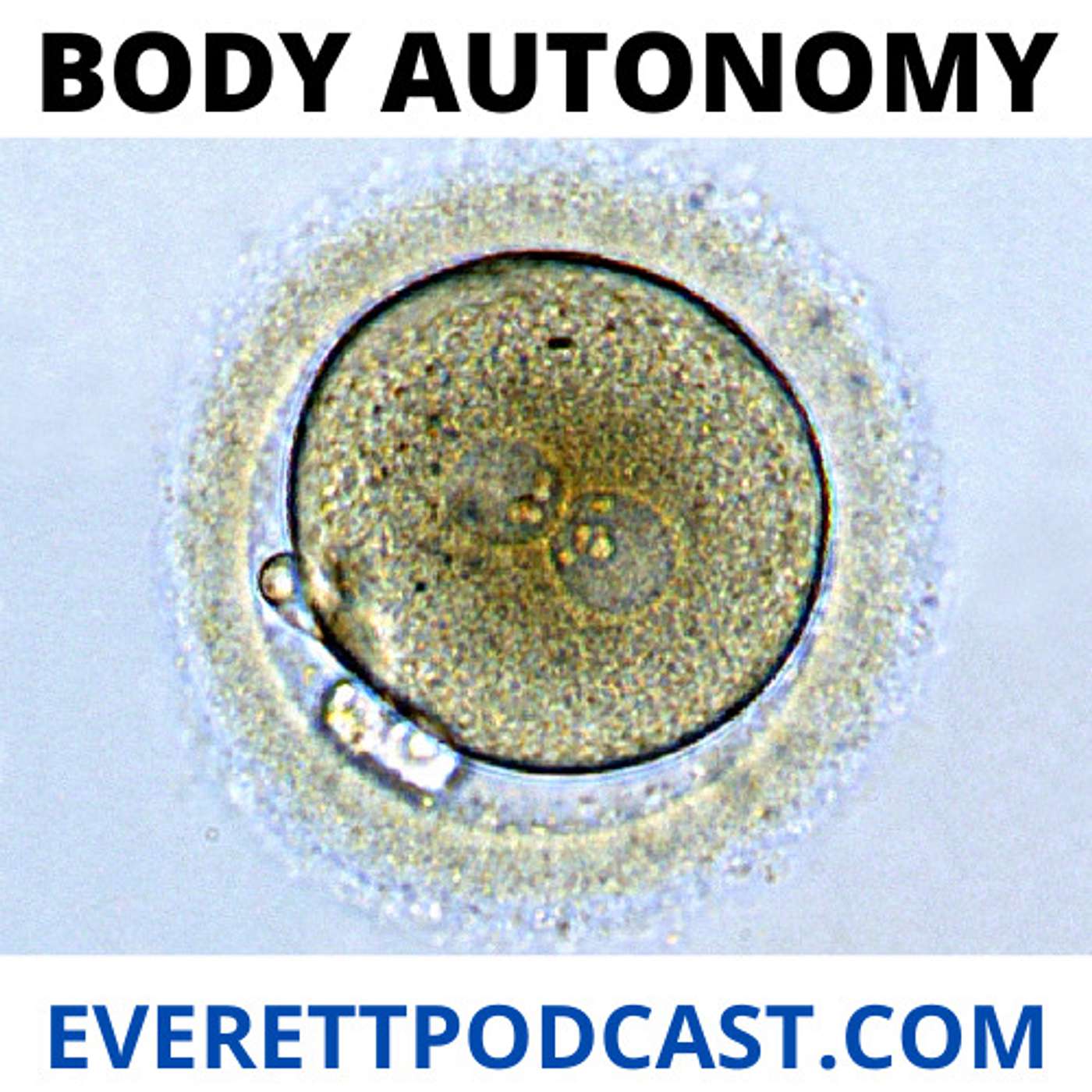 Body Autonomy, A Pro-Choice Perspective