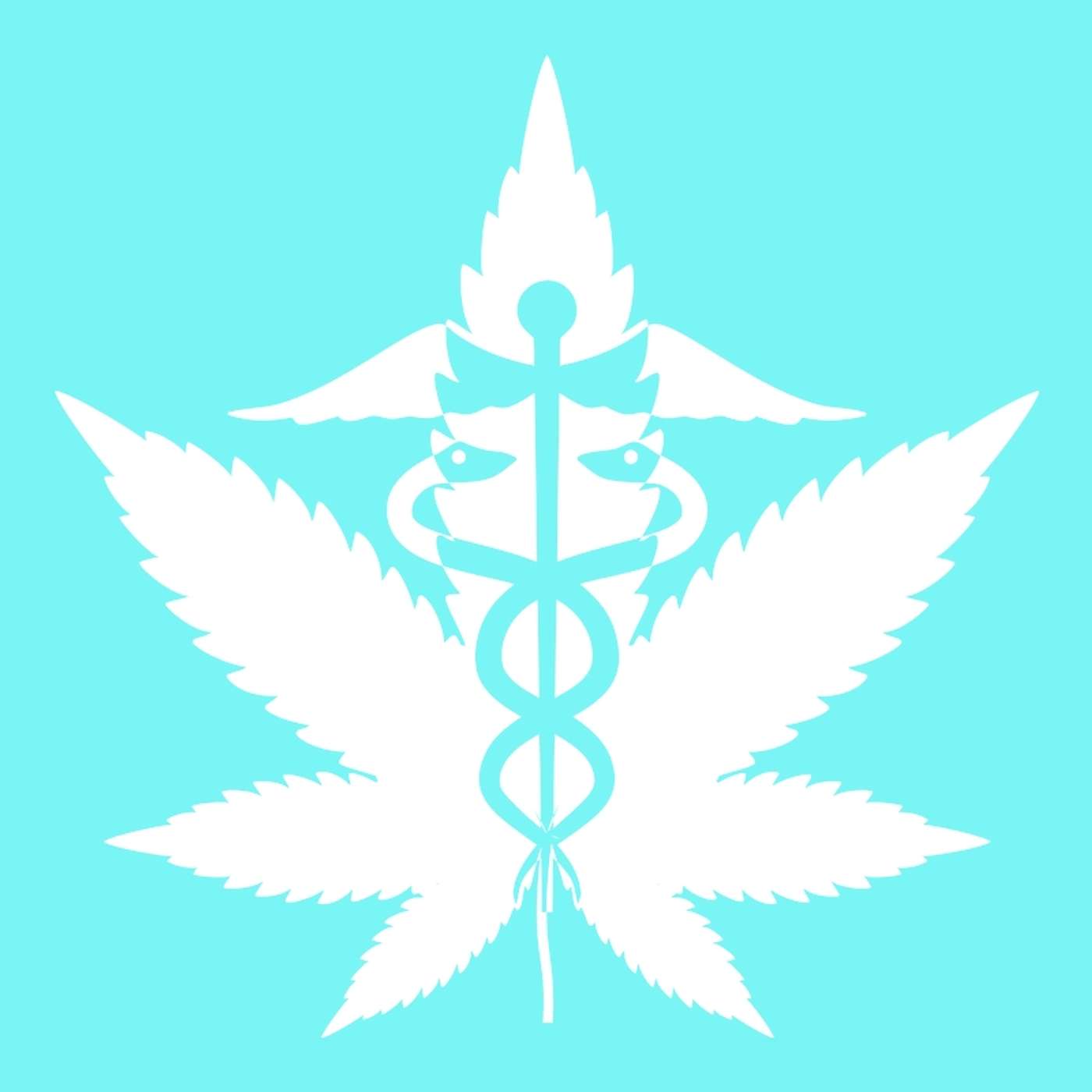 The Dr. Junkie Show