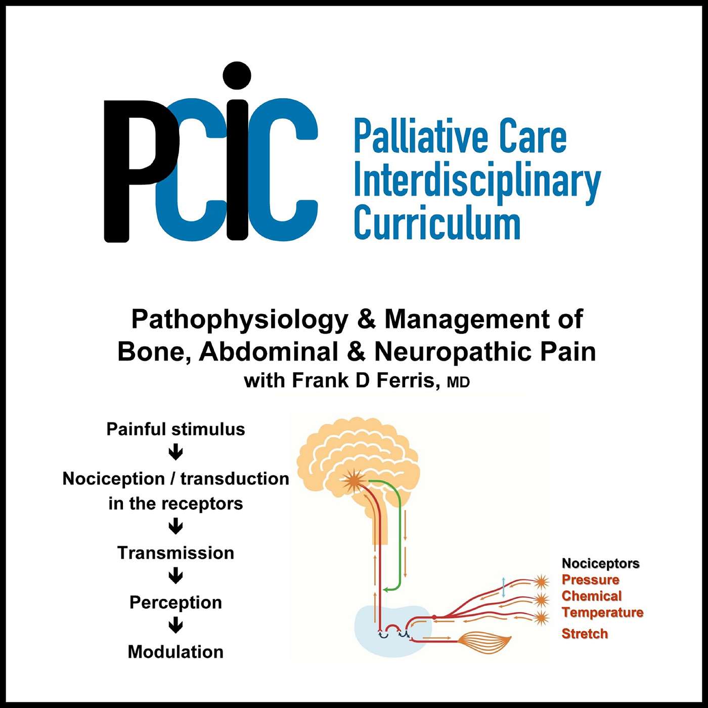 Palliative Care Interdisciplinary  Curriculum