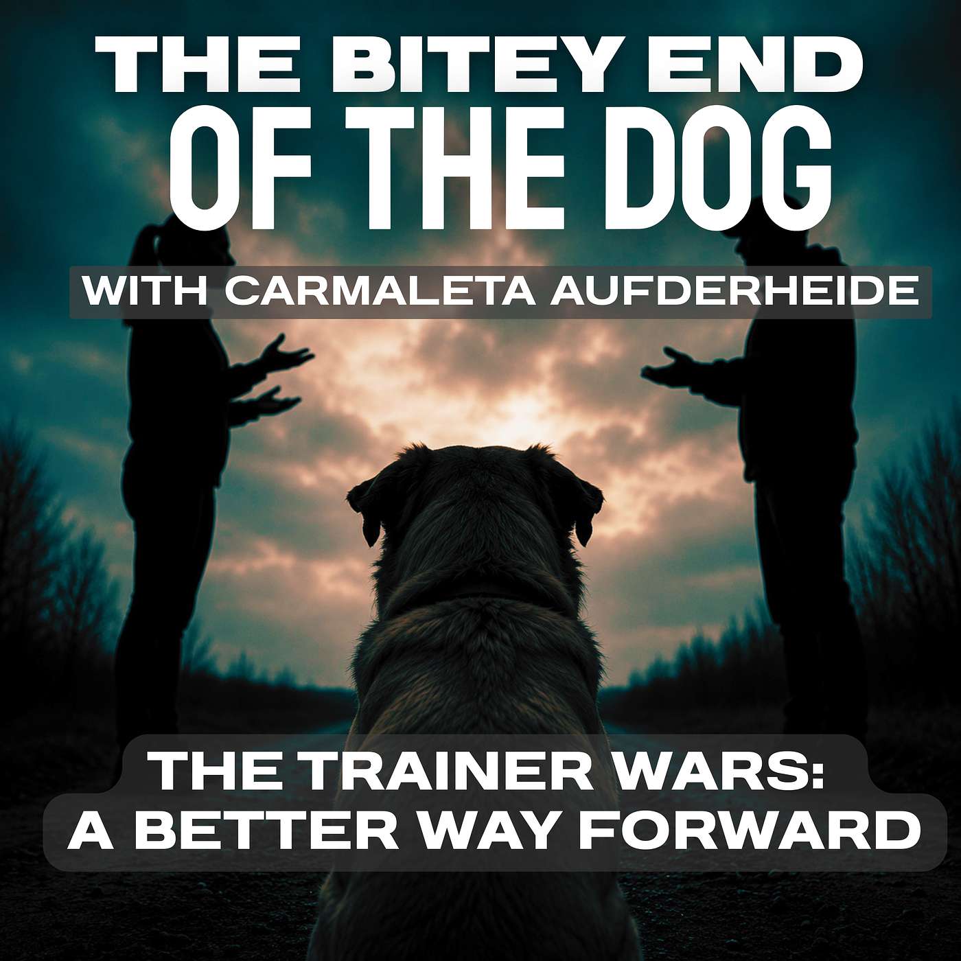 The Trainer Wars: A Better Way Forward with Carmaleta Aufderheide