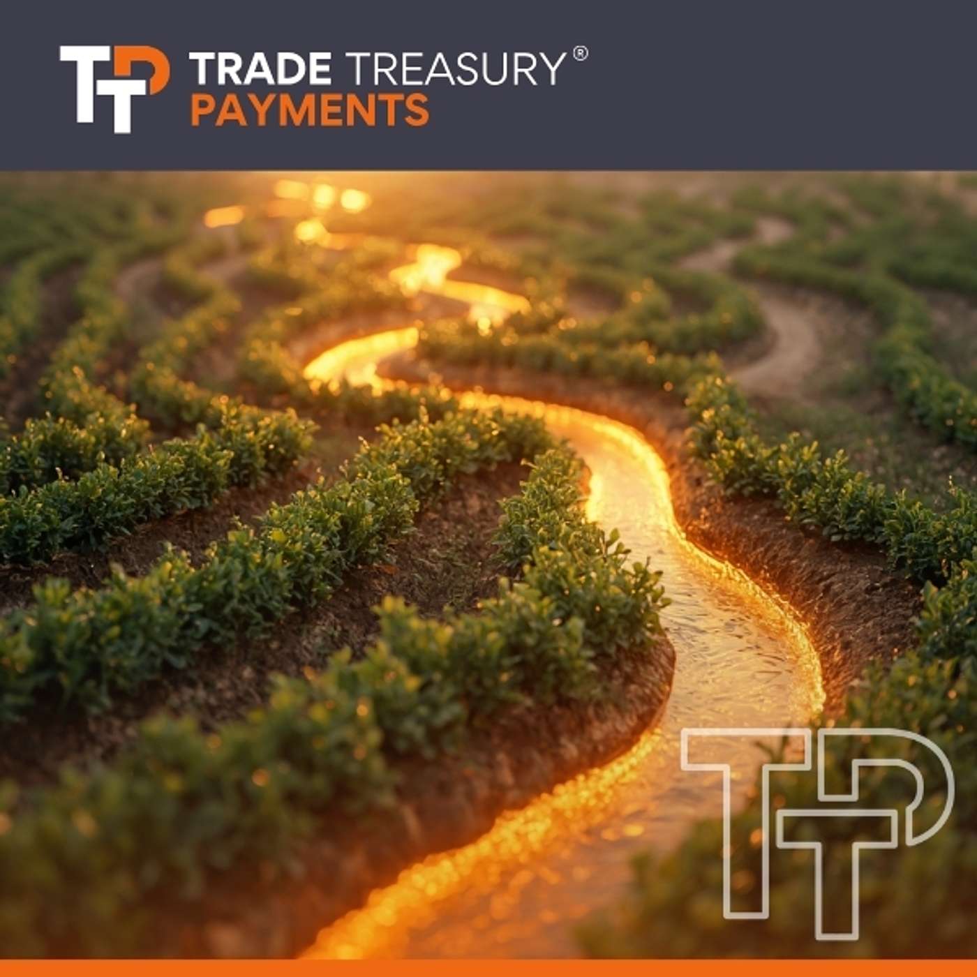 Local currency, global impact: Inside Ameriabank's green leasing model episode artwork