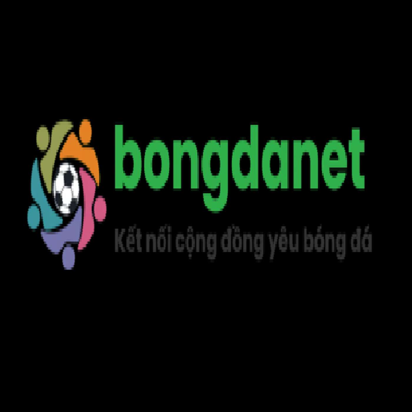 bongdanetbiz
