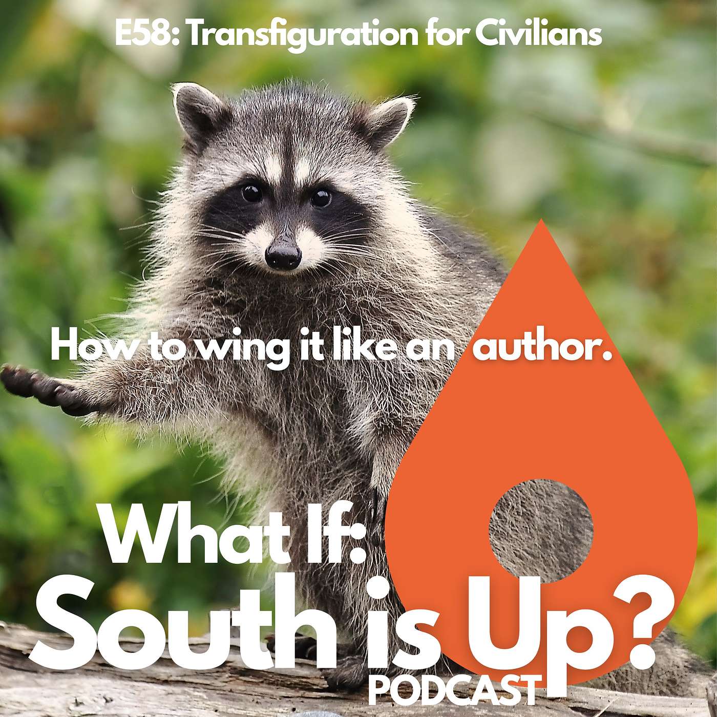 What If: South is Up?