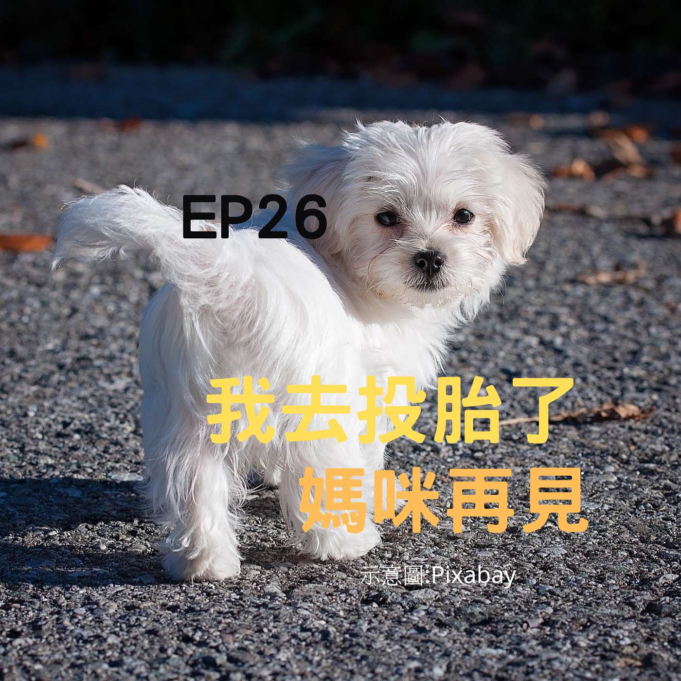 從0到1媒體人X斜槓 EP26我的孩紙投胎了嗎？牠會不會怪我安樂死？《歐歐啟示錄》震撼人心，解開”謎之音” episode artwork