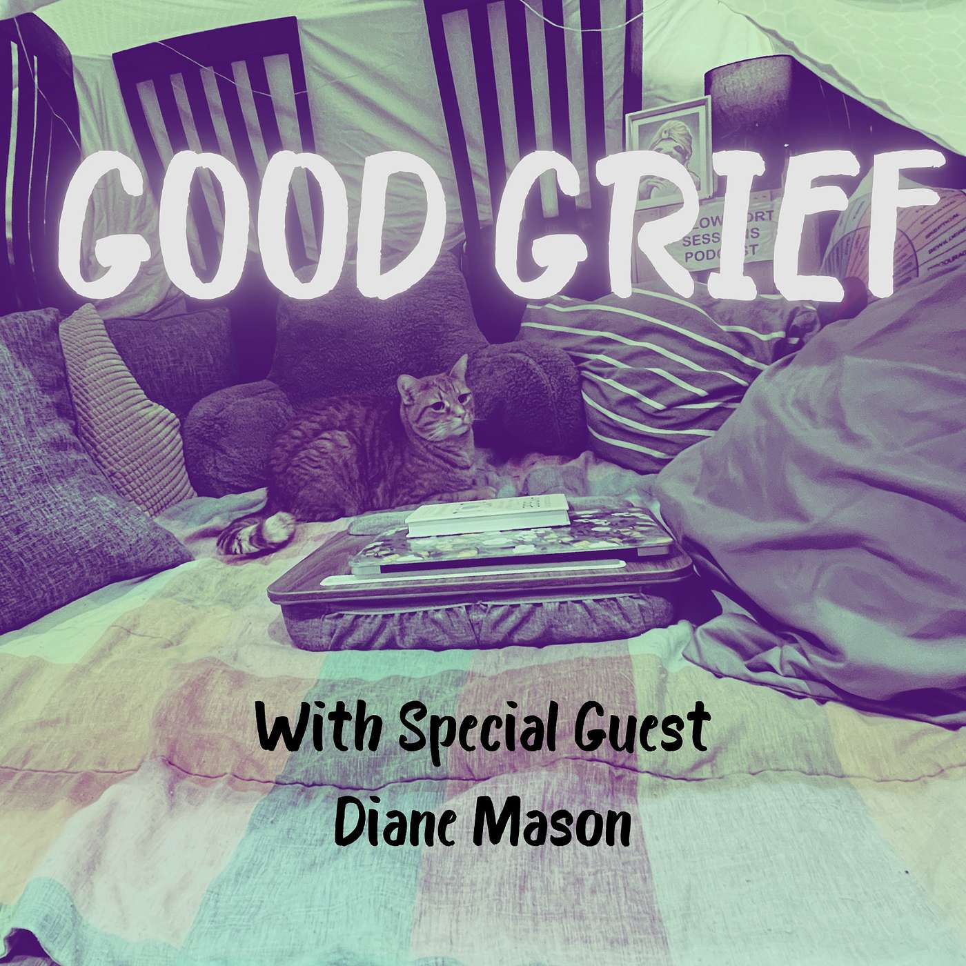 The Pillow Fort Sessions Podcast