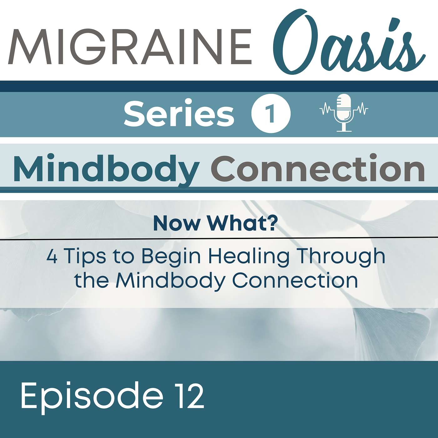 Ep 12. Now What? 4 Tips to Begin Healing Chronic Pain & Symptoms Through the Mindbody Connection