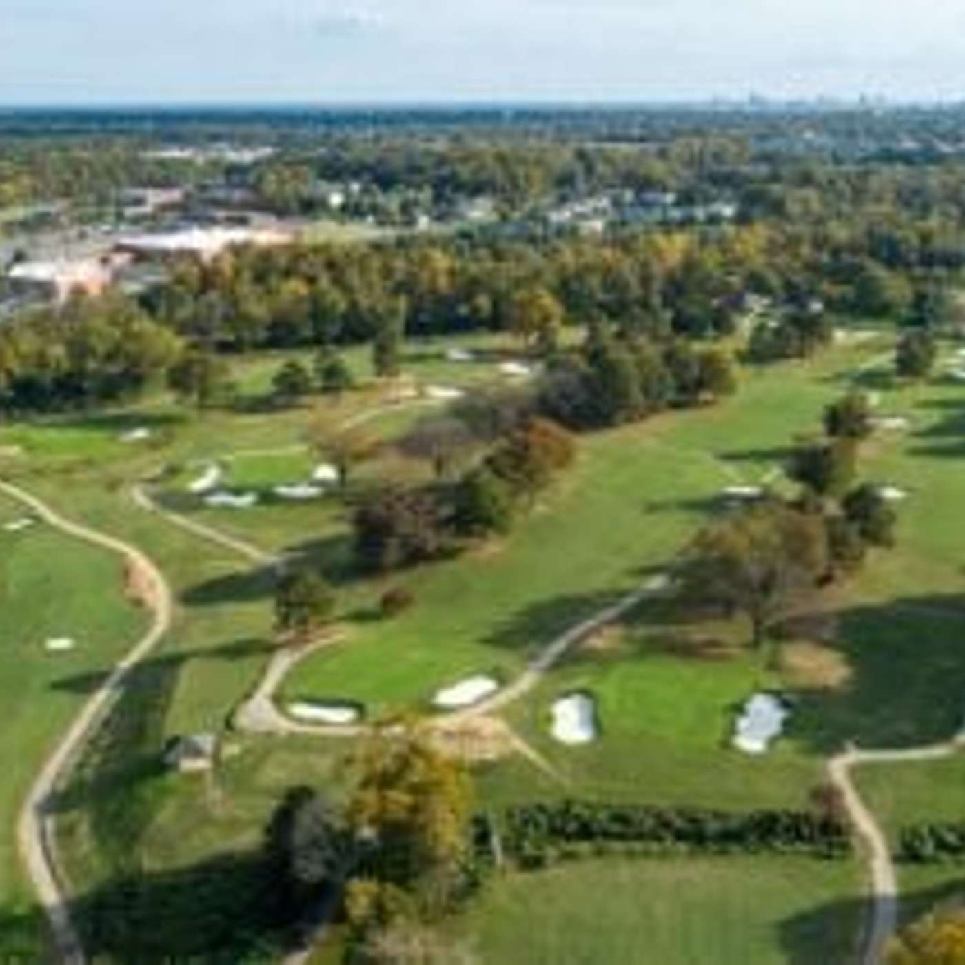 Henrico Citizen Audio Articles