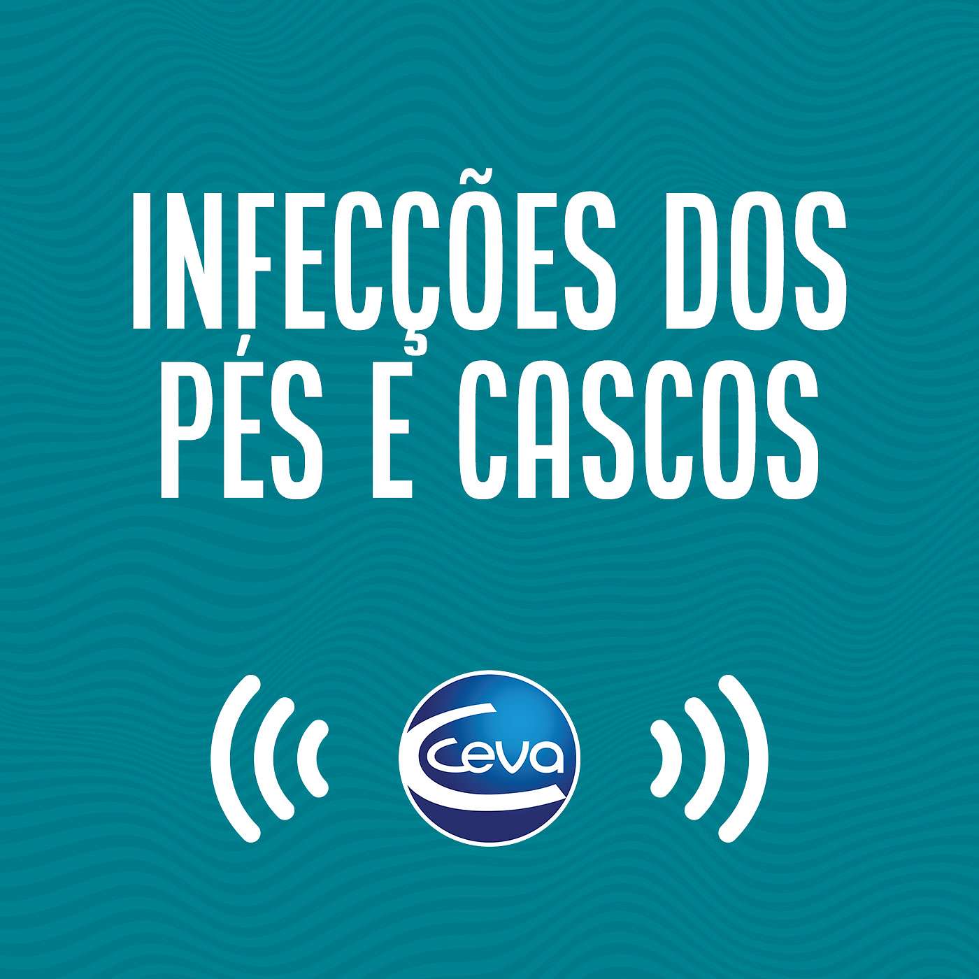 Pés e cascos #02 Tratamento das infecções dos pés e cascos dos bovinos episode artwork