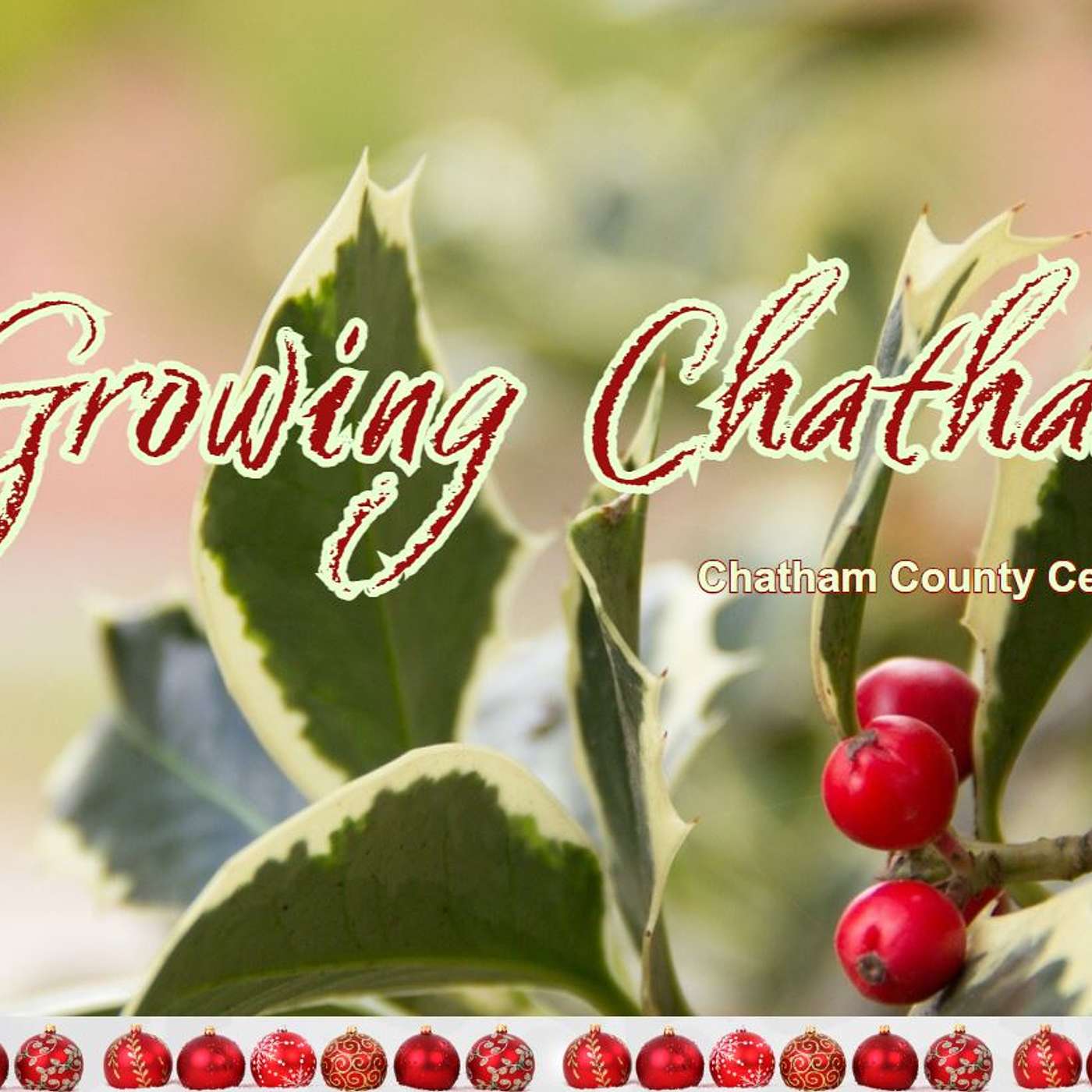 Growing Chatham December 2023 Edition episode artwork