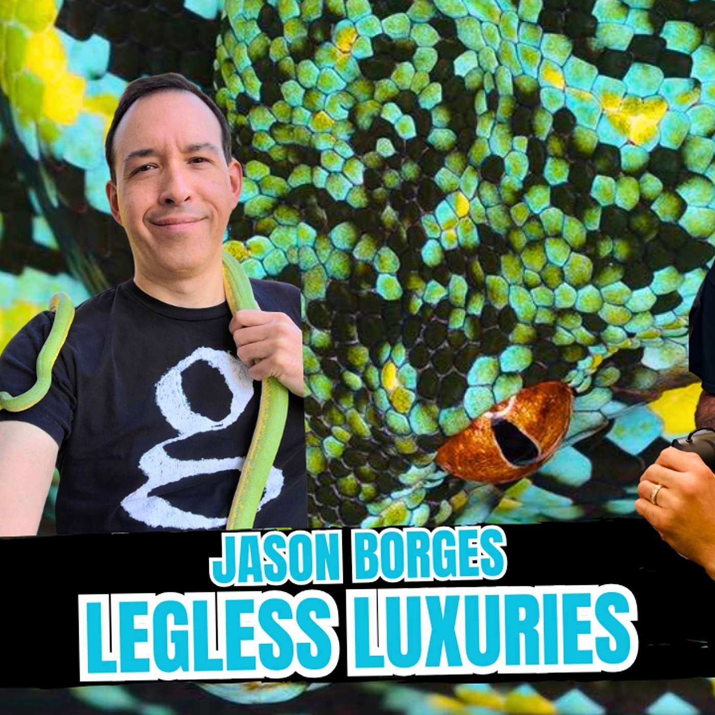 Paying The Green Tree Python Breeder Toll & How You Can't Avoid It | All In The Trees Live