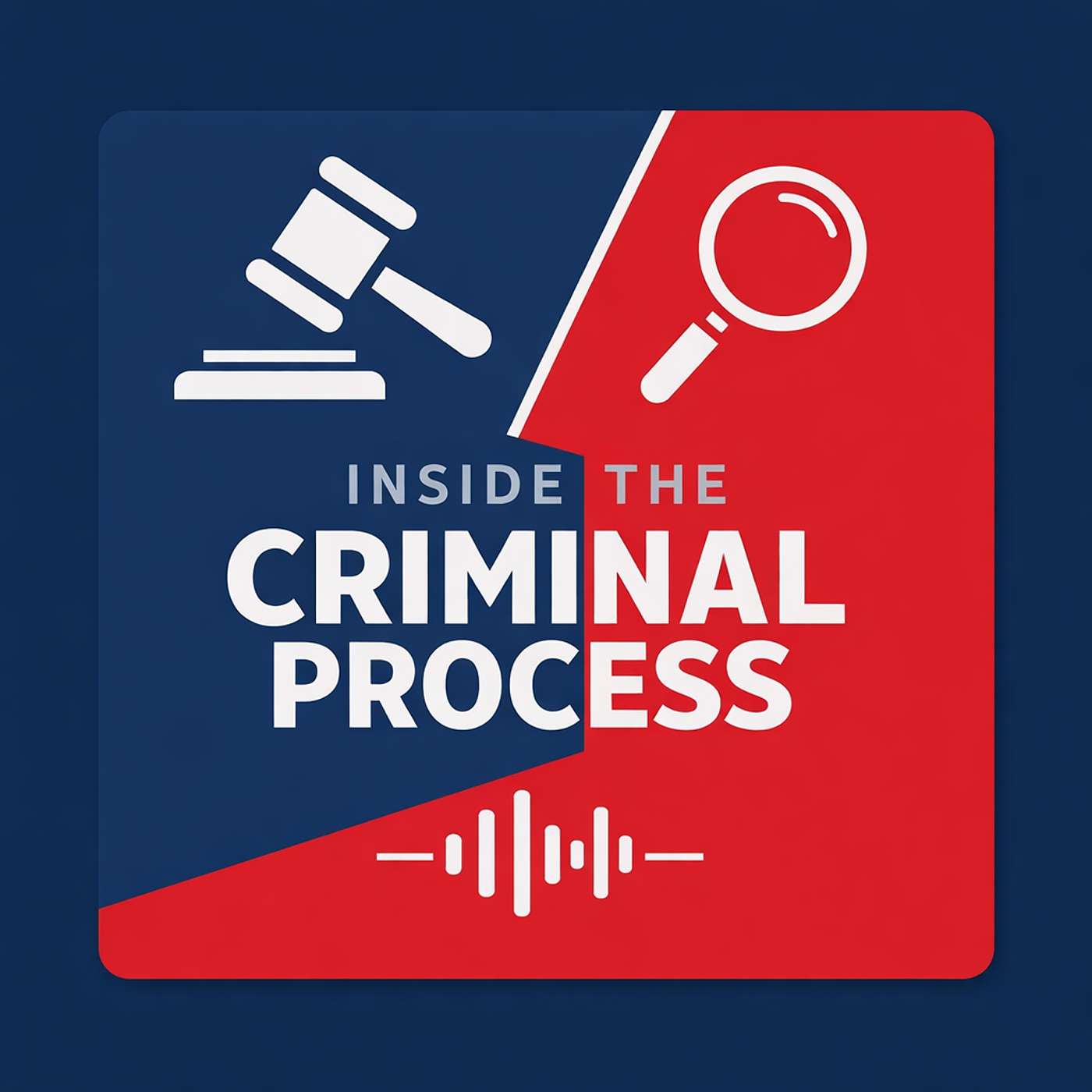 Inside the Criminal Process