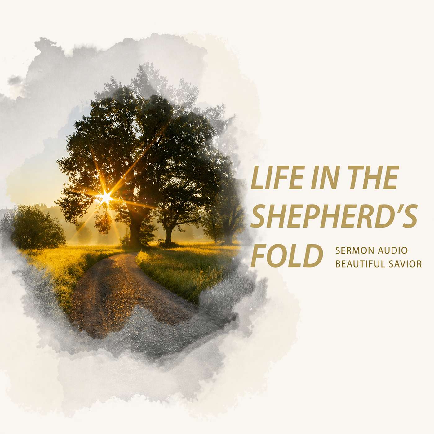 Life in the Shepherd’s Fold | Finding Truth Among Competing Voices | John 10:1–10 episode artwork