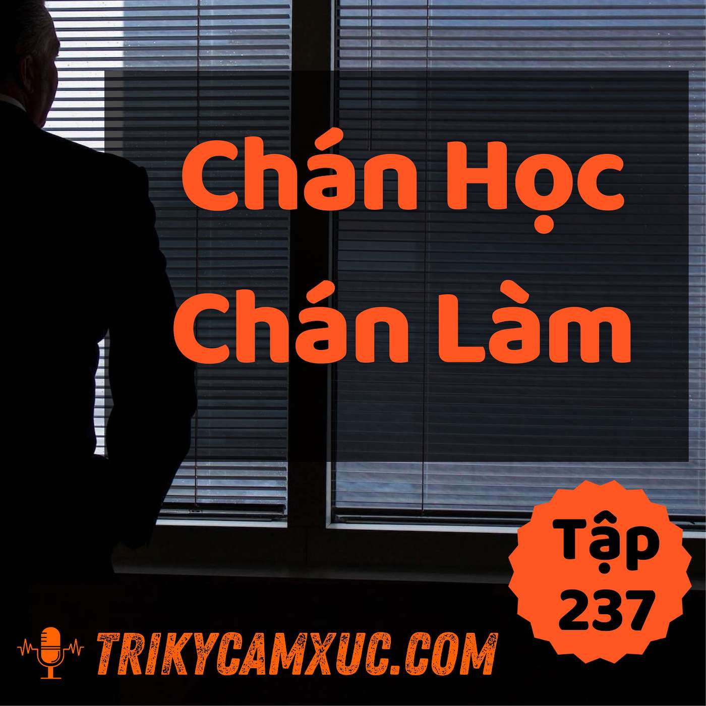 Mất Niềm Vui Khi Làm Việc Và Học Hành - Tri kỷ cảm xúc #237