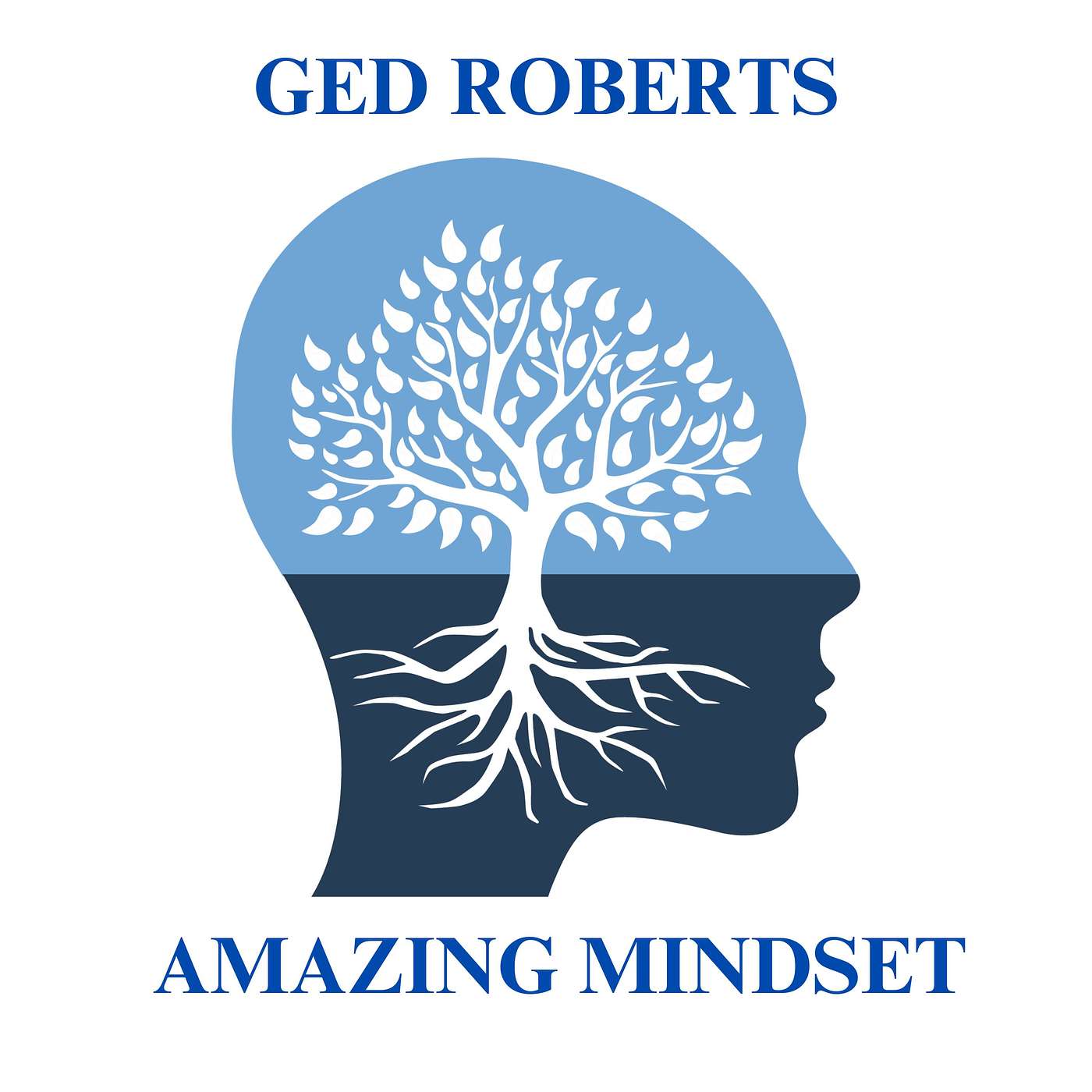 Amazing Mindset Podcast