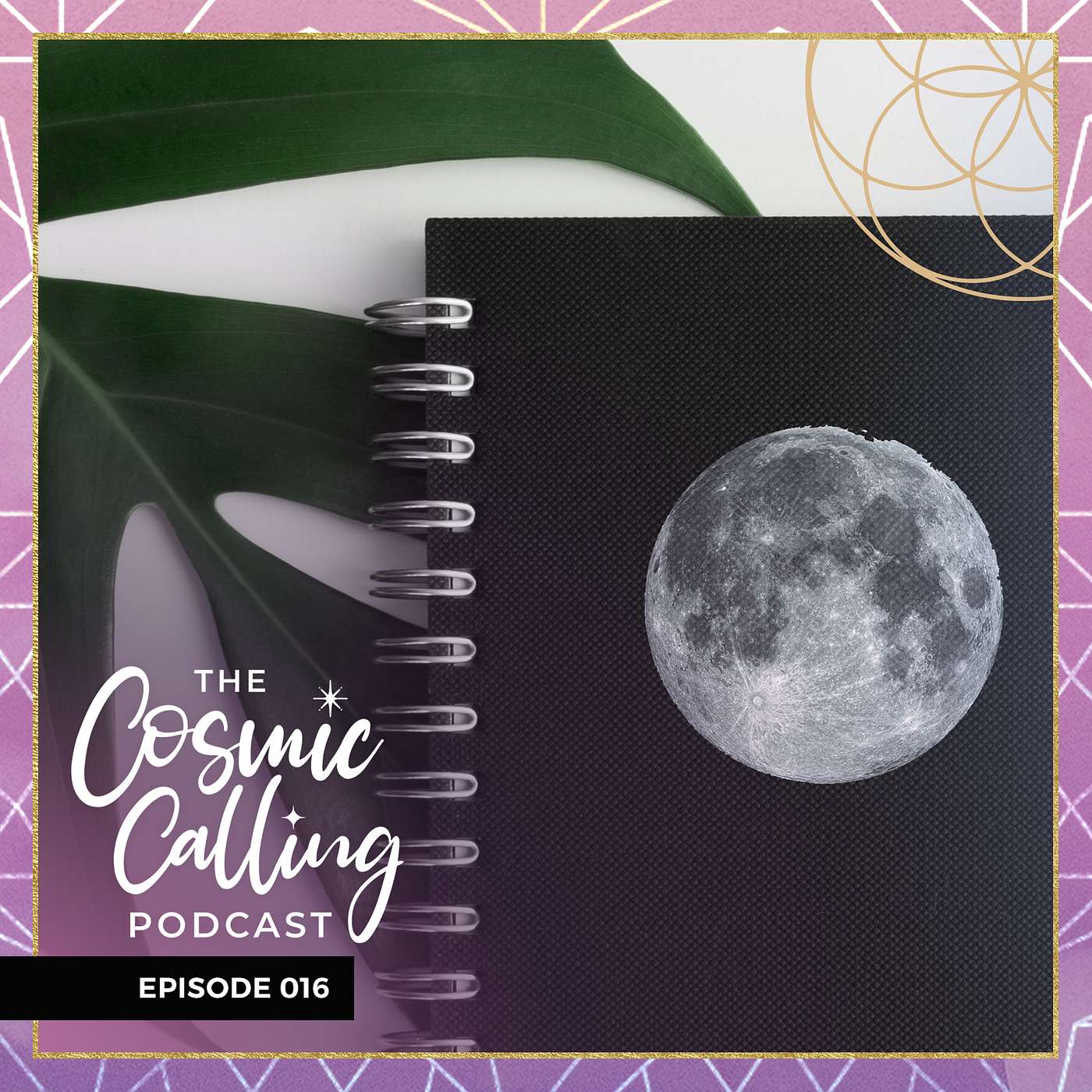 016 | Planetary Planning