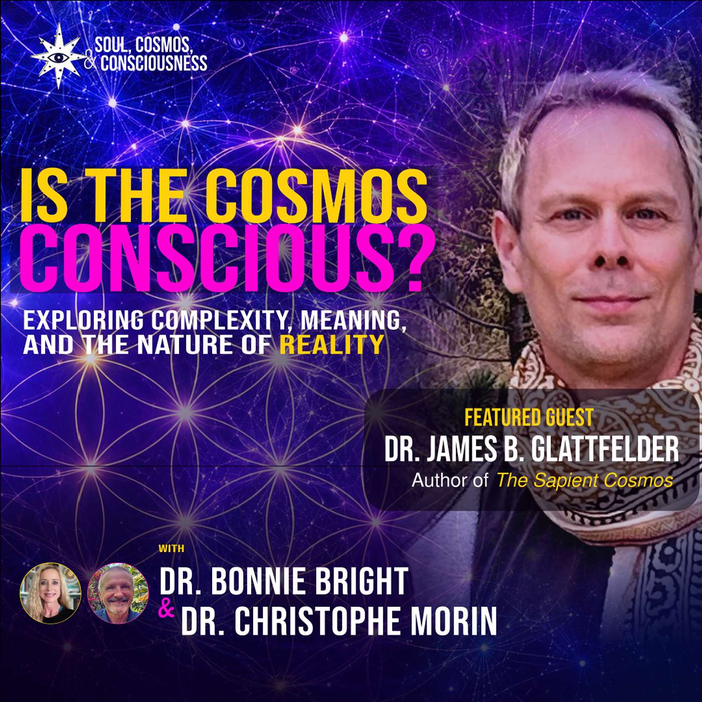 Is the Cosmos Conscious? Consciousness, Meaning, and the Nature of Reality | James Glattfelder