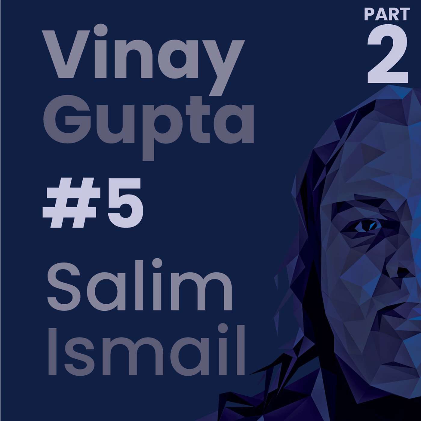 Vinay Gupta on Transforming Humanity | The Salim Ismail Podcast #5