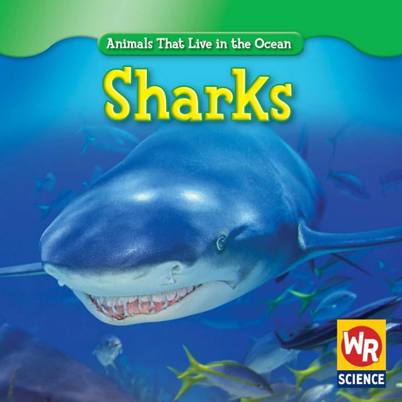 Sharks By Valerie J Weber (read by Bryson)