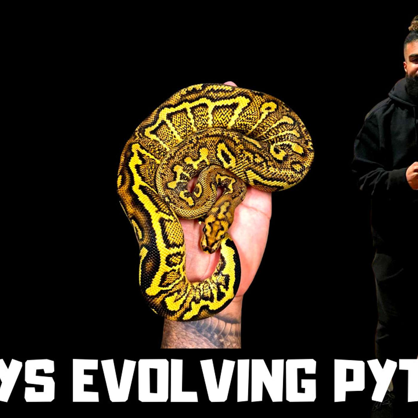 #184 MIGUEL GARCIA OF ALWAYS EVOLVING PYTHONS | BALL PYTHON BREEDER | MEXICO REPTILE INDUSTRY