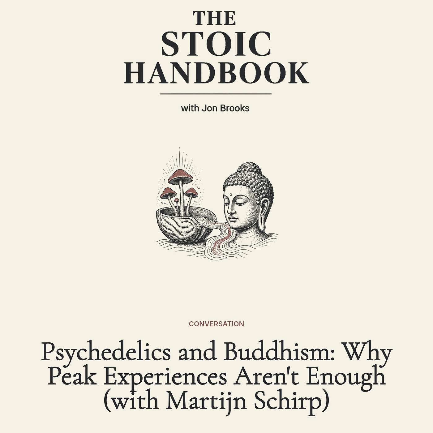 Psychedelics and Buddhism: Why Peak Experiences Aren't Enough (with Martijn Schirp) episode artwork