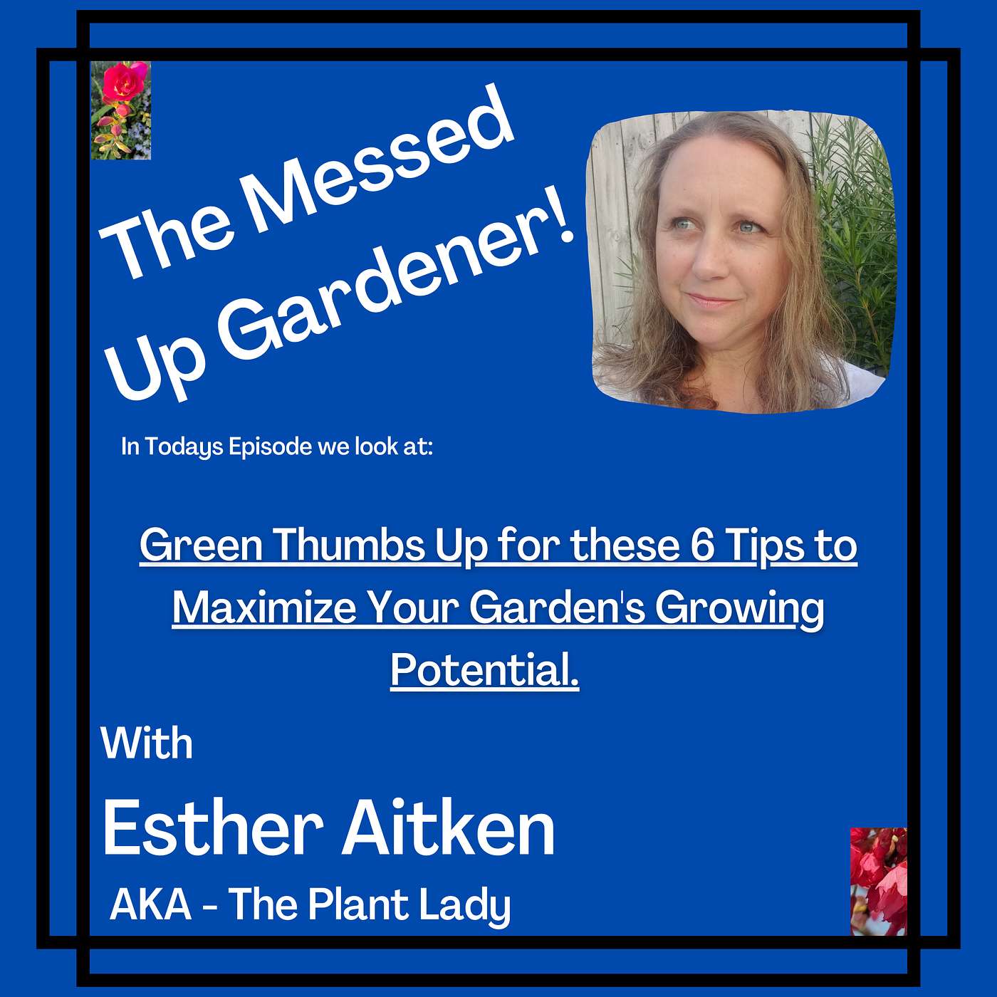 The Messed Up Gardener