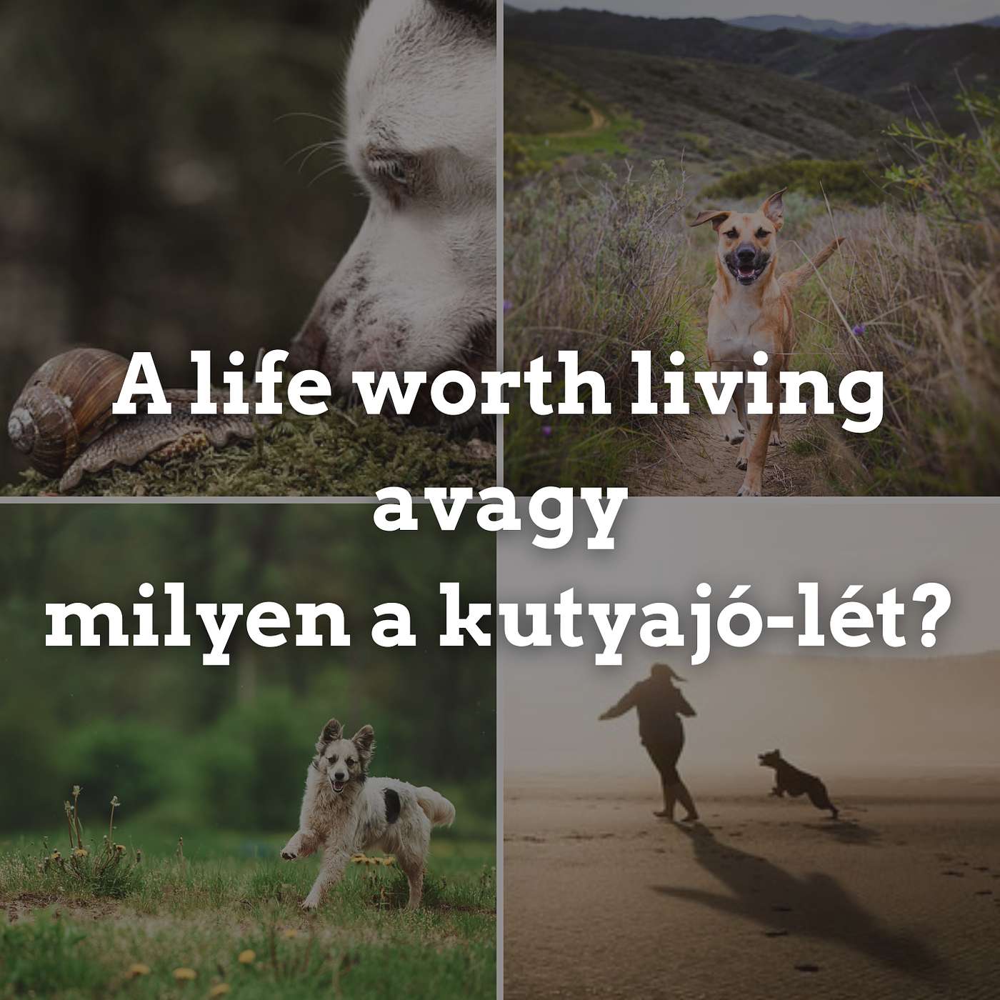 Kutyajó-lét's Podcast