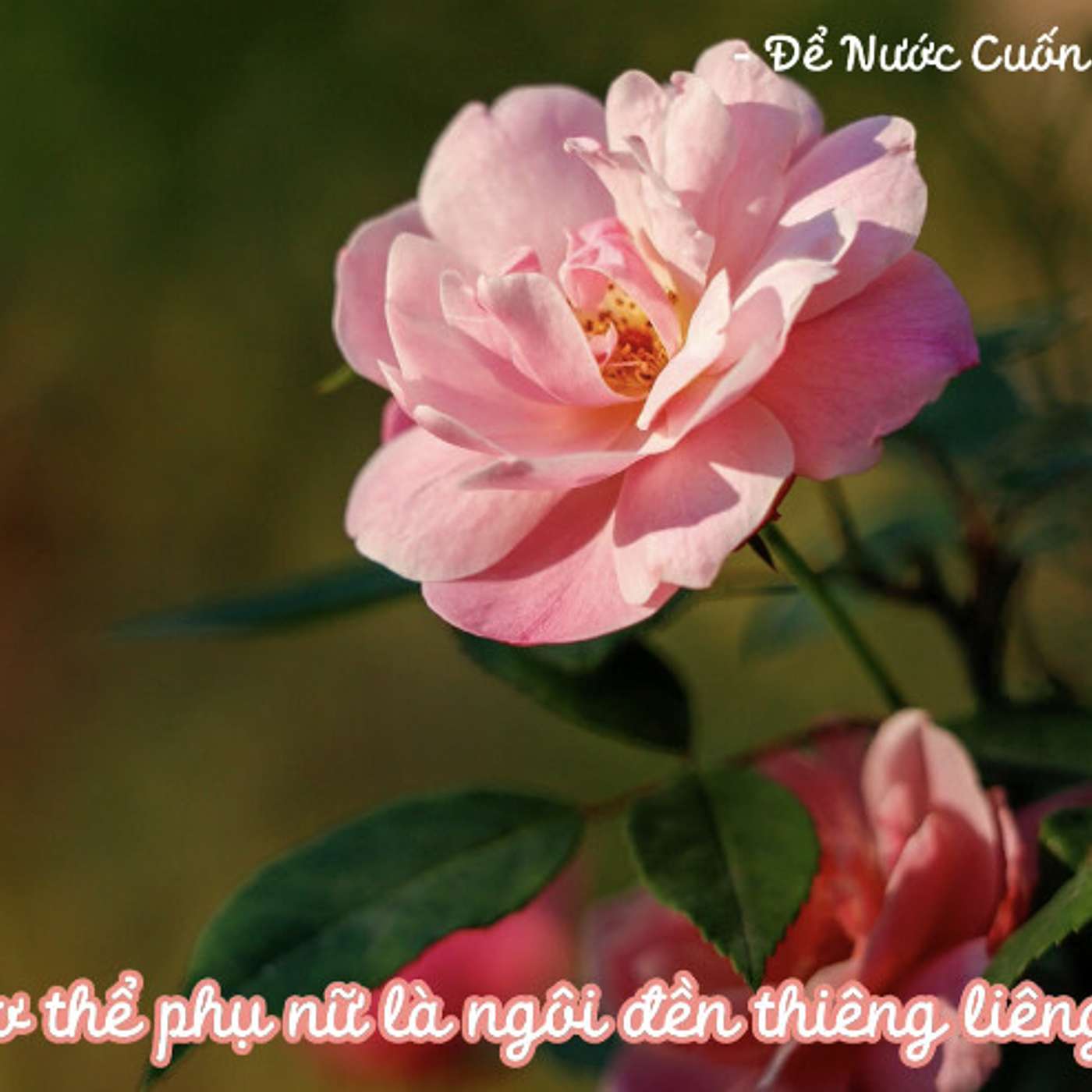 LÀM THẾ NÀO ĐỂ PHỤ NỮ BÌNH AN, KHỎE MẠNH VÀ HẠNH PHÚC HƠN? #4 | CƠ THỂ PHỤ NỮ LÀ NGÔI ĐỀN THIÊNG LIÊNG