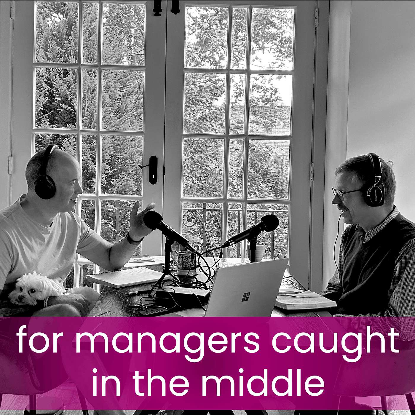 Podcast Image
