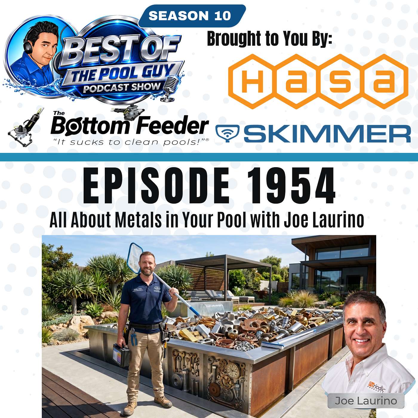 All About Metals in Your Pool with Joe Laurino