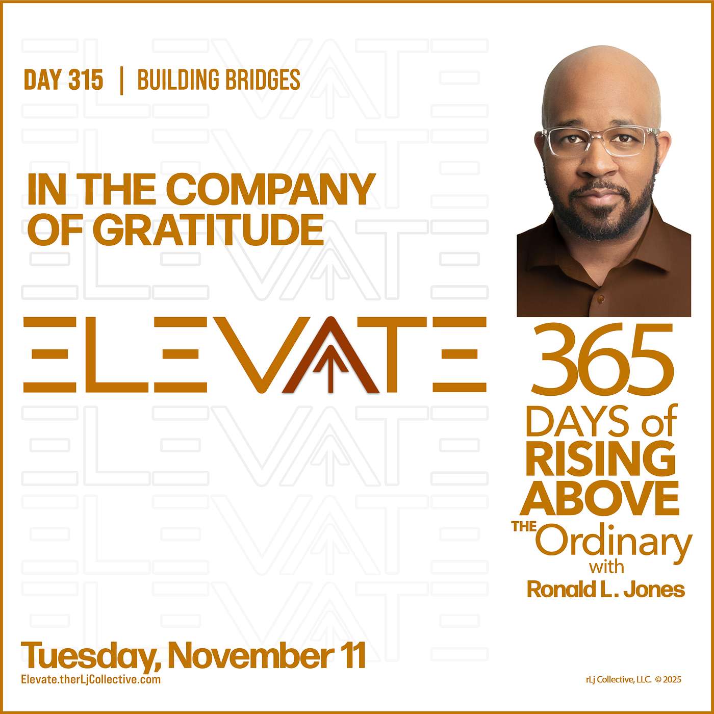 Day 315: In the Company of Gratitude