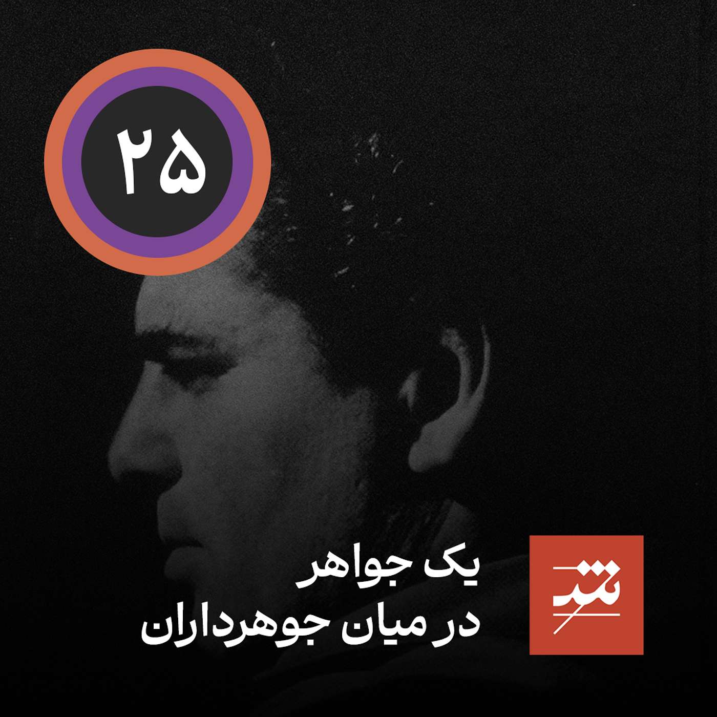 یک جواهر در میان جوهرداران