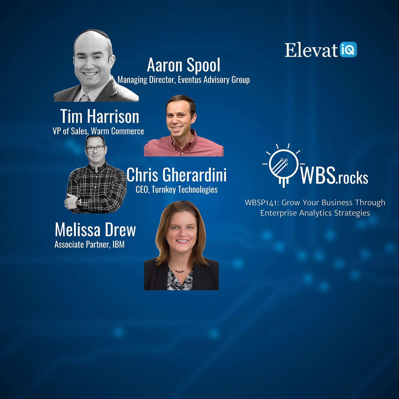 WBSP141: Grow Your Business Through Enterprise Analytics Strategies, a Live Interview w/ a Panel of Experts