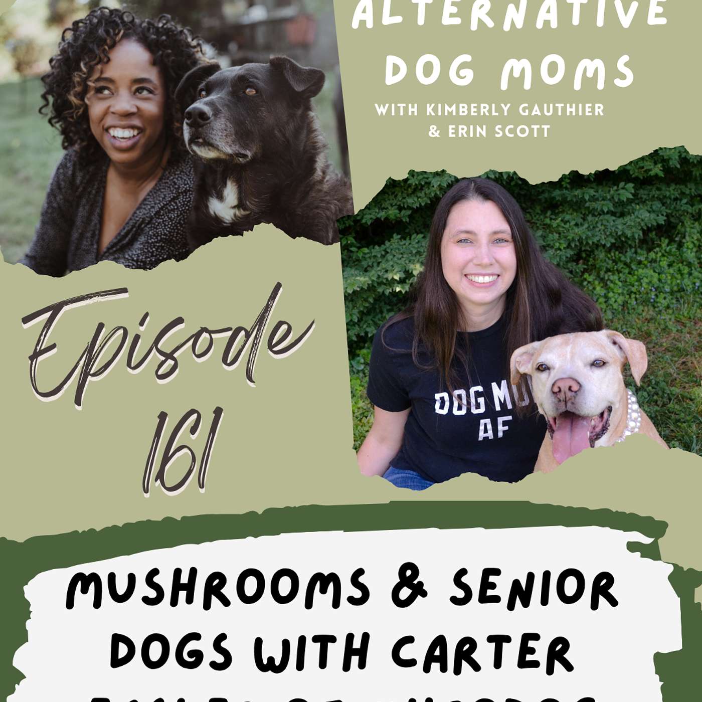 Discussing Functional Mushrooms and Senior Dogs with Carter Easler of MycoDog