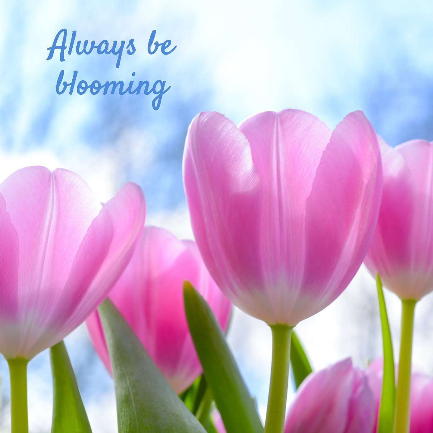 #196 Always be blooming episode artwork