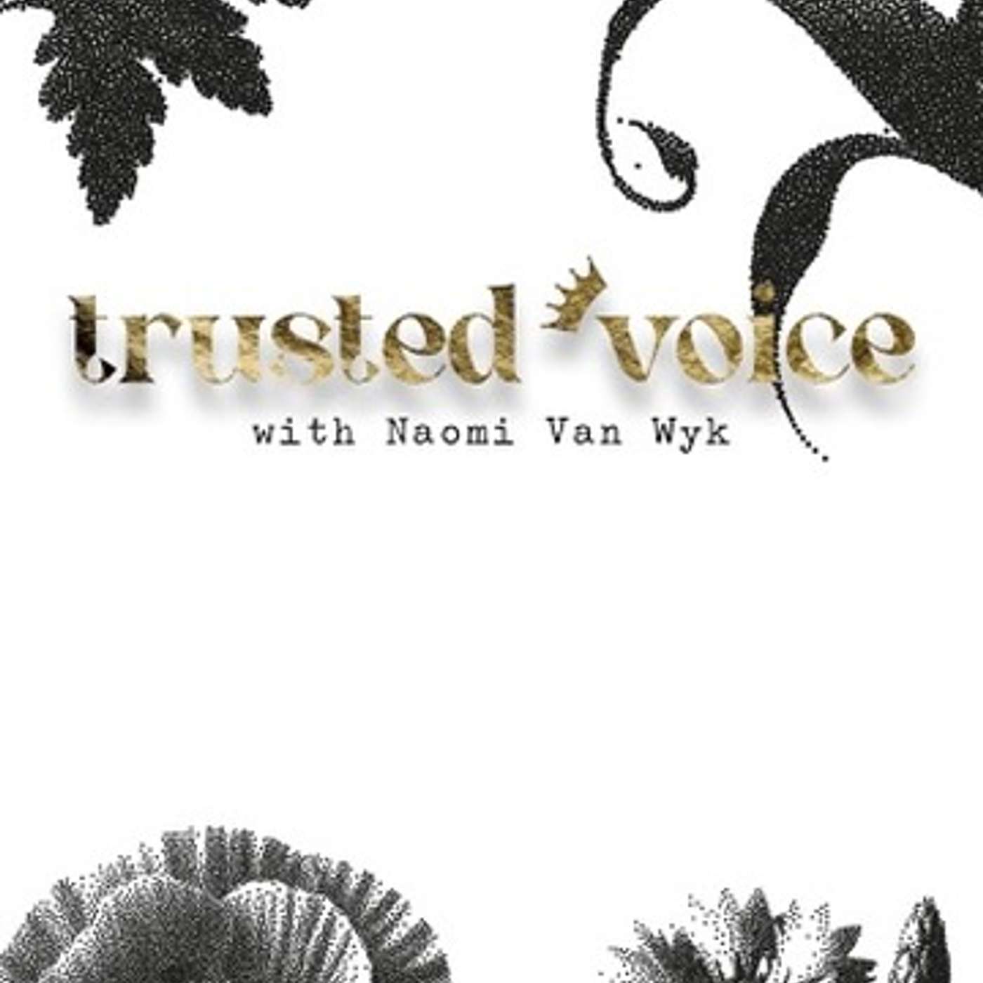 Trusted voice with Naomi Van Wyk