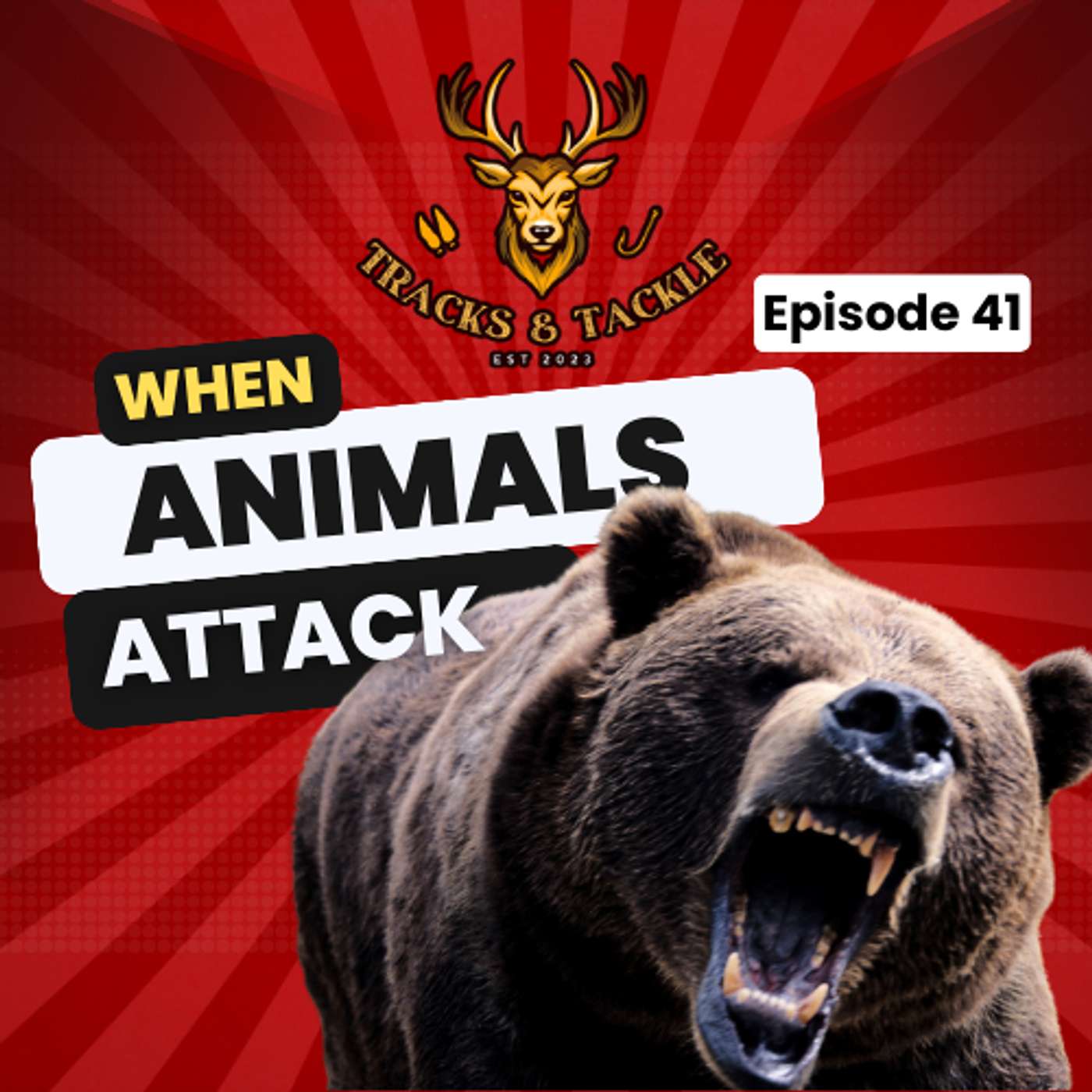 EP 41: Living with Wildlife- Minimizing Risk, Maximizing Safety