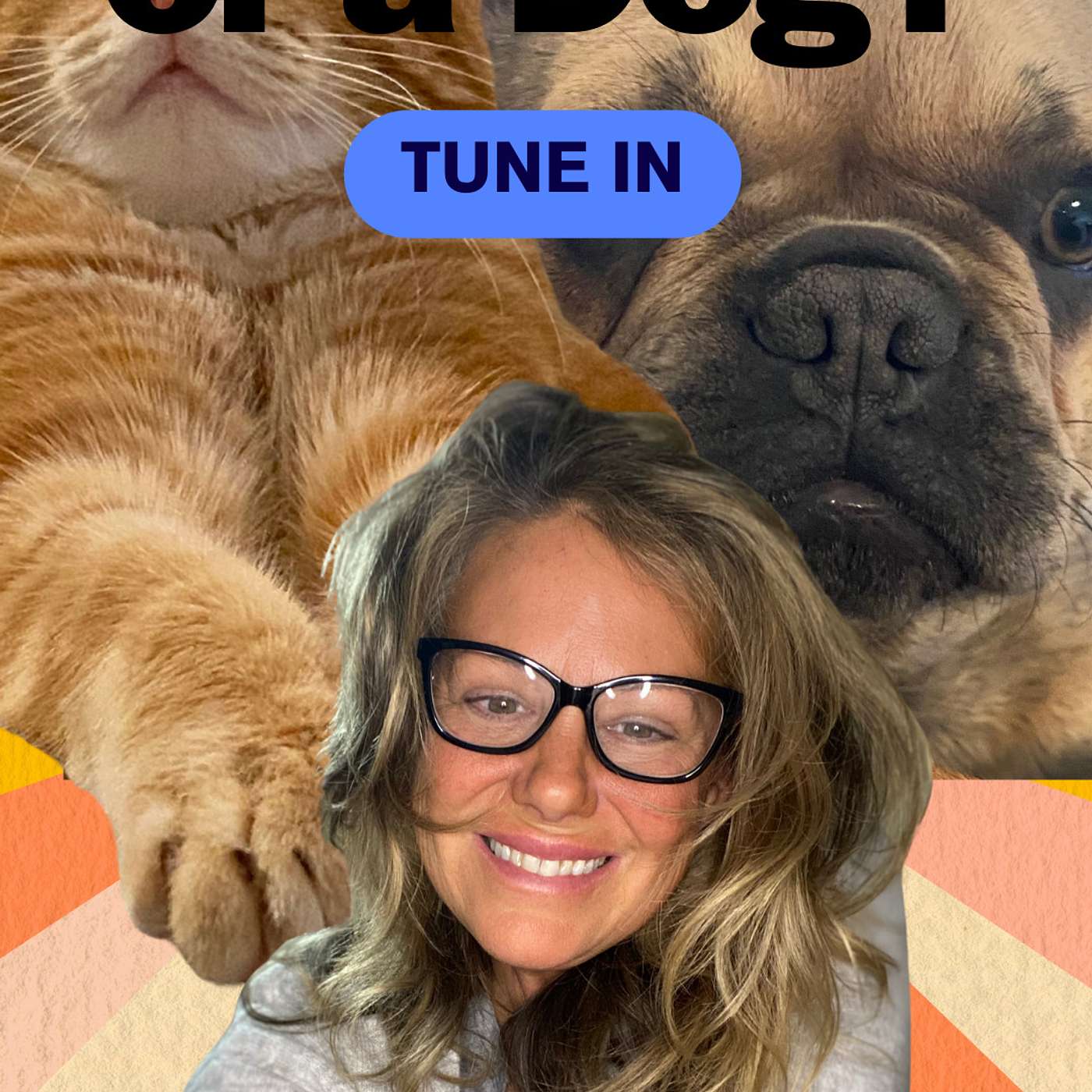 Be a Cat or Dog?